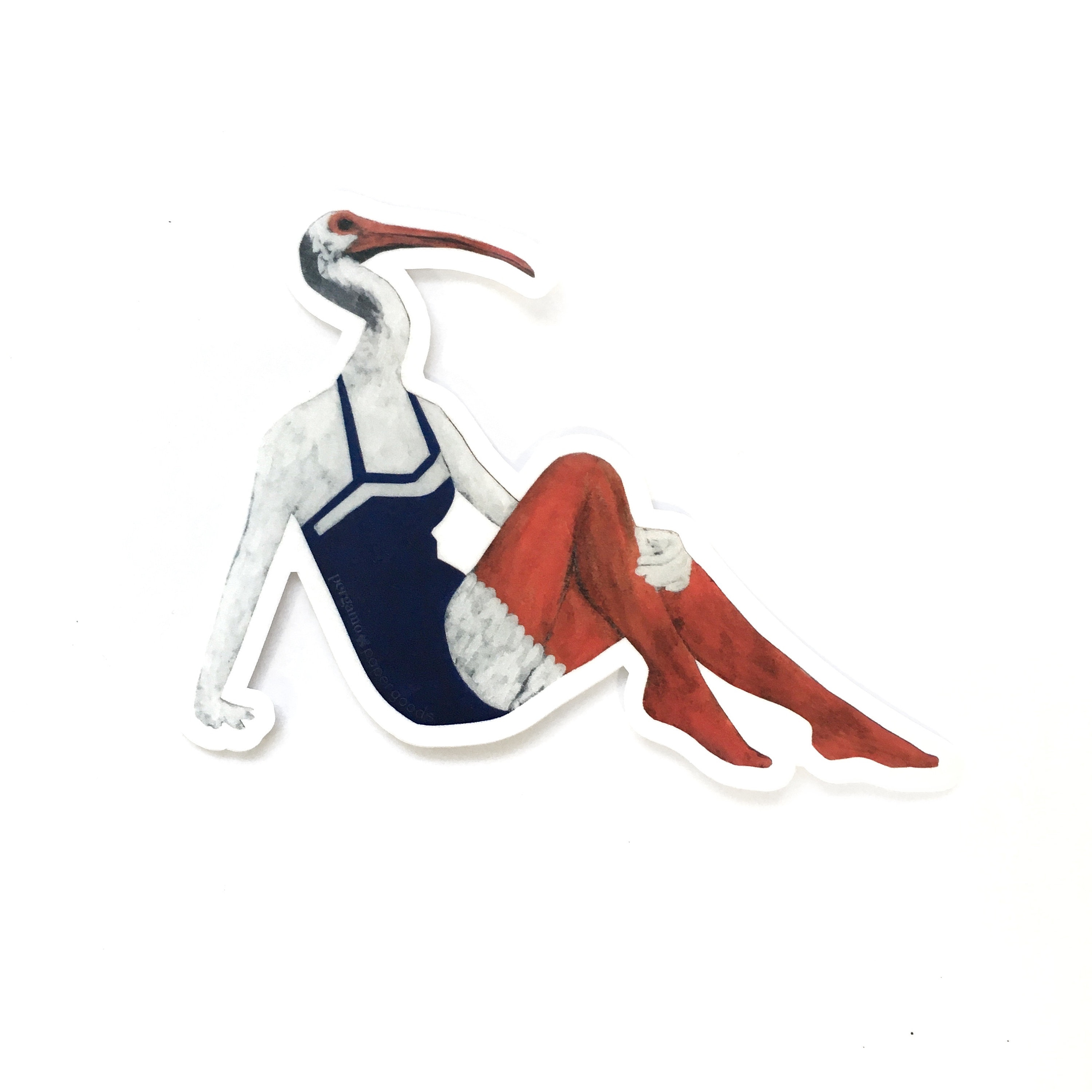 Ibis Sticker, Weird Vinyl Stickers, Bird Laptop Decal, Bumper Sticker Pack, Florida Decals, Vintage Retro Collage, Strange Ugly Surreal Art - Thumbnail 2