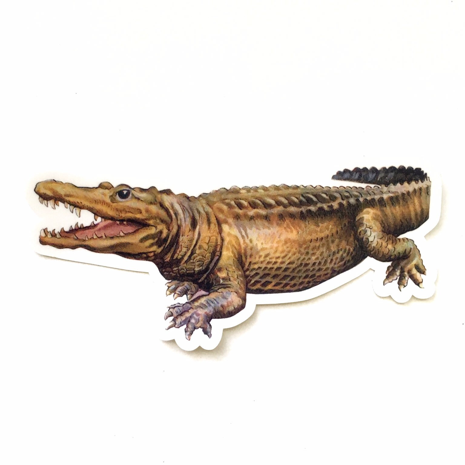 Alligator Sticker, Vintage Florida Vinyl Sticker Pack, Bumper Stickers, Laptop Decals, Hydroflask Decal, Waterbottle Junk FL 50s 60s 70s - Thumbnail 4