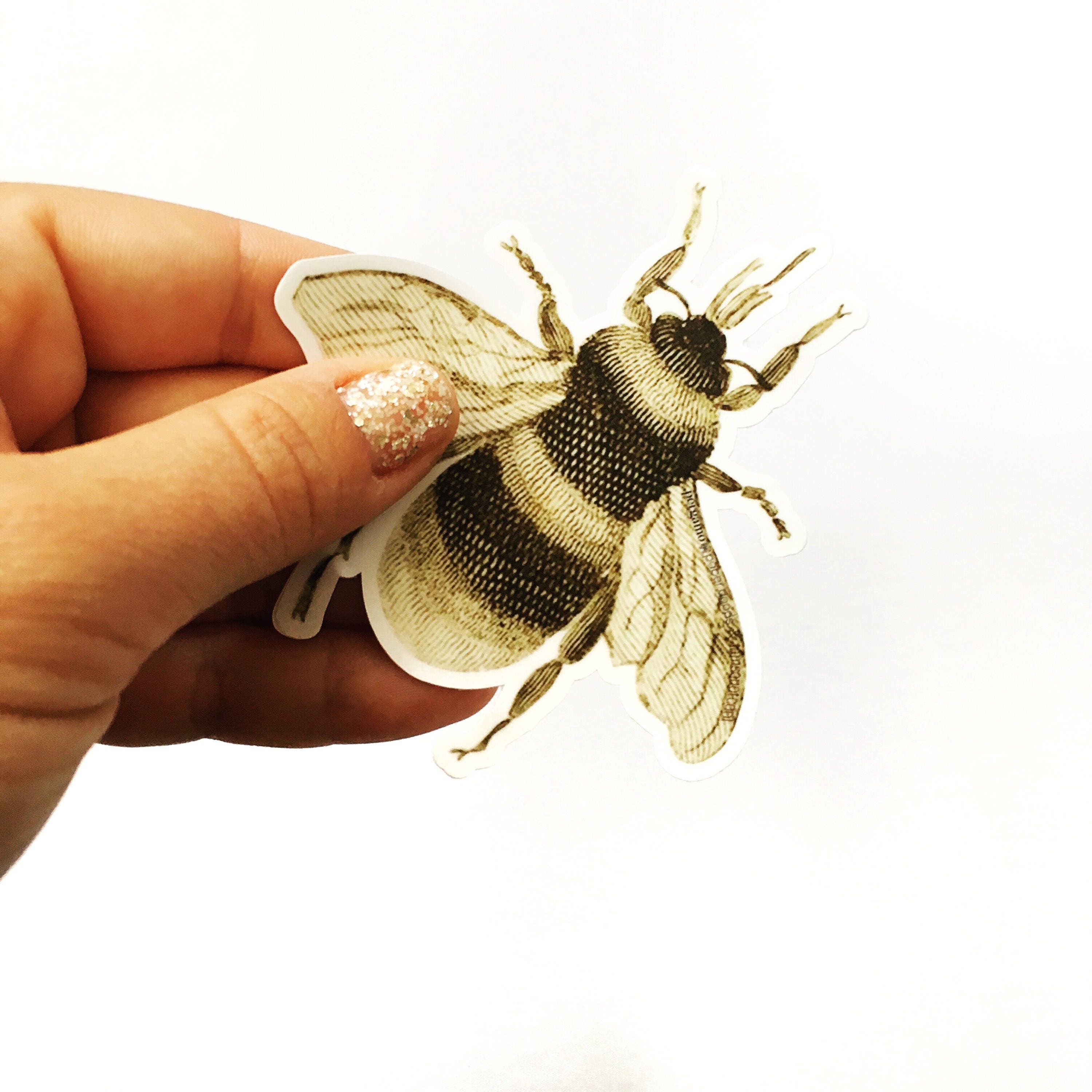 Bee Laptop Sticker, Vinyl Retro Stickers, Bumper Sticker, VSCO Laptop Decal, Hydroflask Nonfade Waterbottle Decals, Antique Insect Botanical - Thumbnail 2