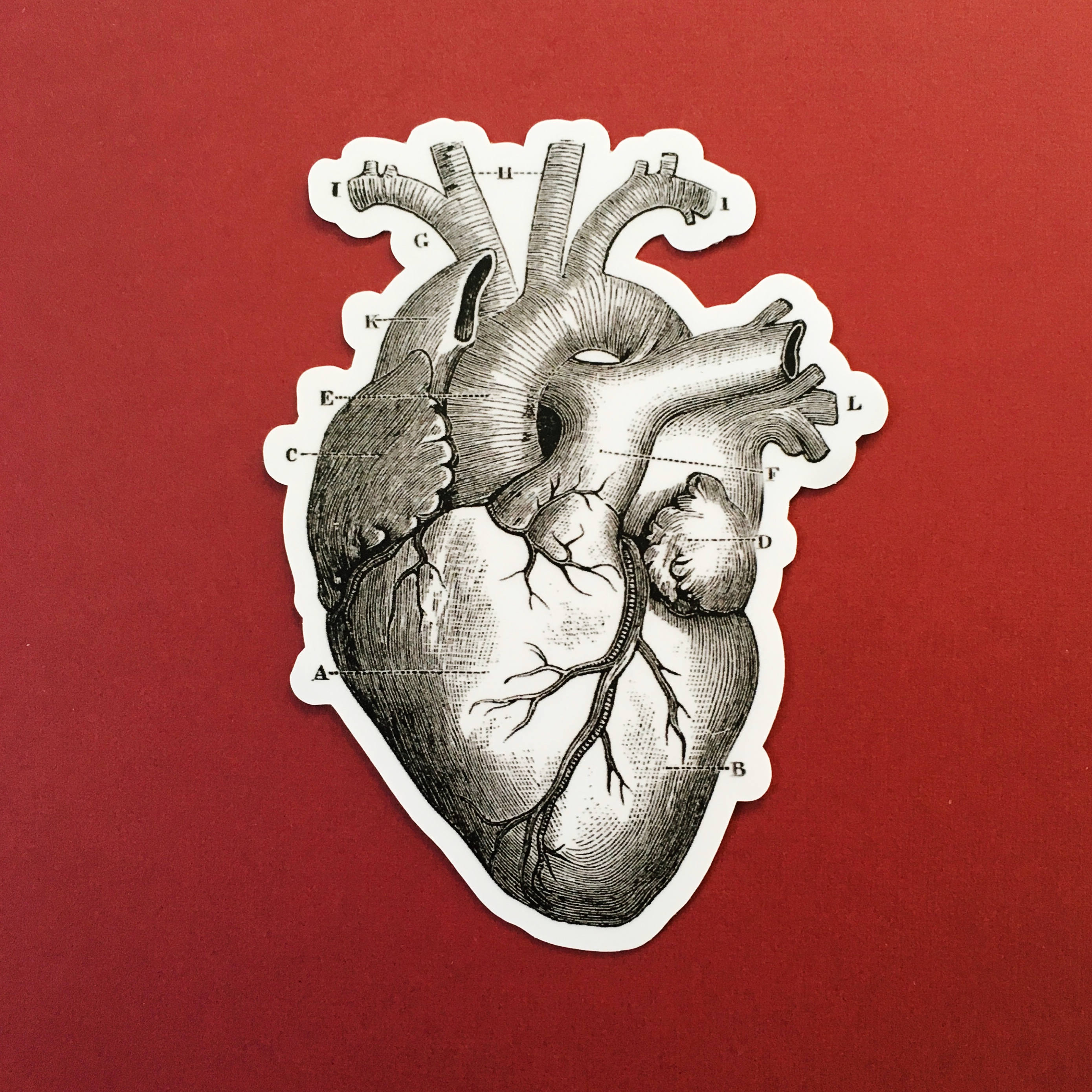Heart Laptop Stickers, Anatomical Grays Anatomy Vintage Halloween Vinyl Sticker Pack, Creepy Decals, Vinyl Decal, Gift for Doctor or Nurse - Thumbnail 3