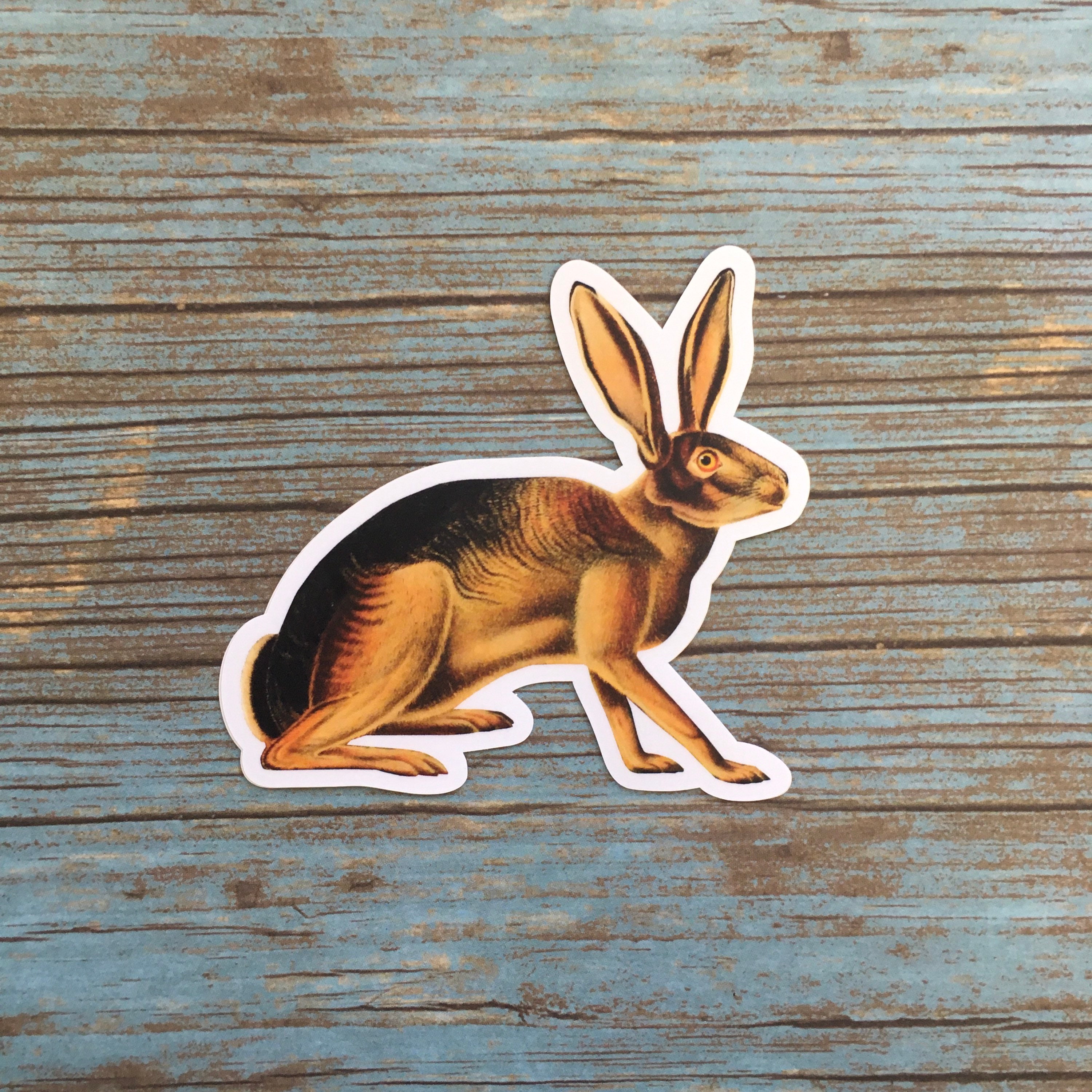 California Hare Sticker Pack, Naturalistic Vintage Vinyl Stickers, Rabbit Spooky Animal Decal, Laptop Decals, Antique Natural Durable - Thumbnail 2