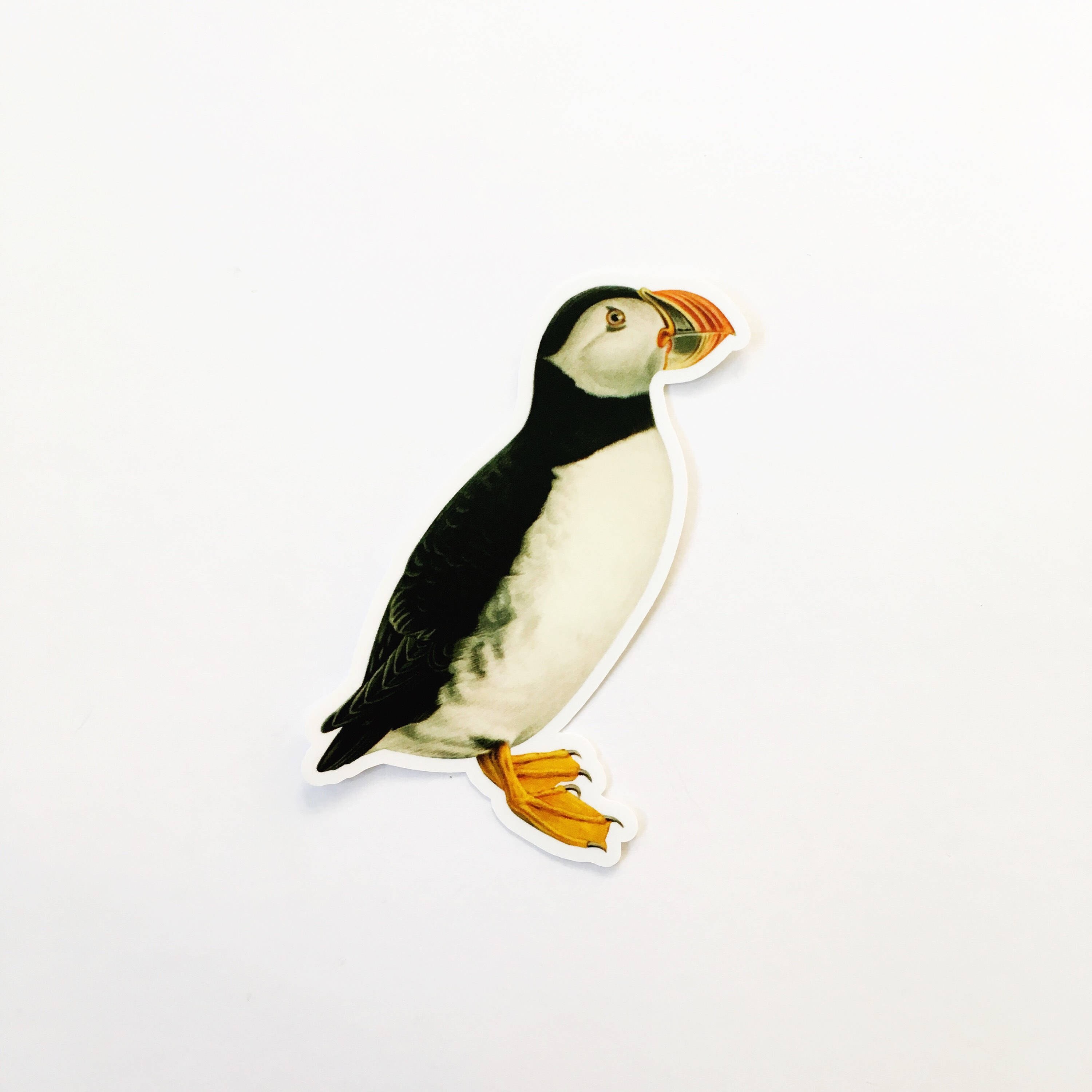 Puffin Sticker, Vinyl Vintage Stickers Laptop Bumper Sticker Pack, Durable Outdoor Decal, Gifts for Bird Lover, Watcher Watching Gift Maine - Thumbnail 2