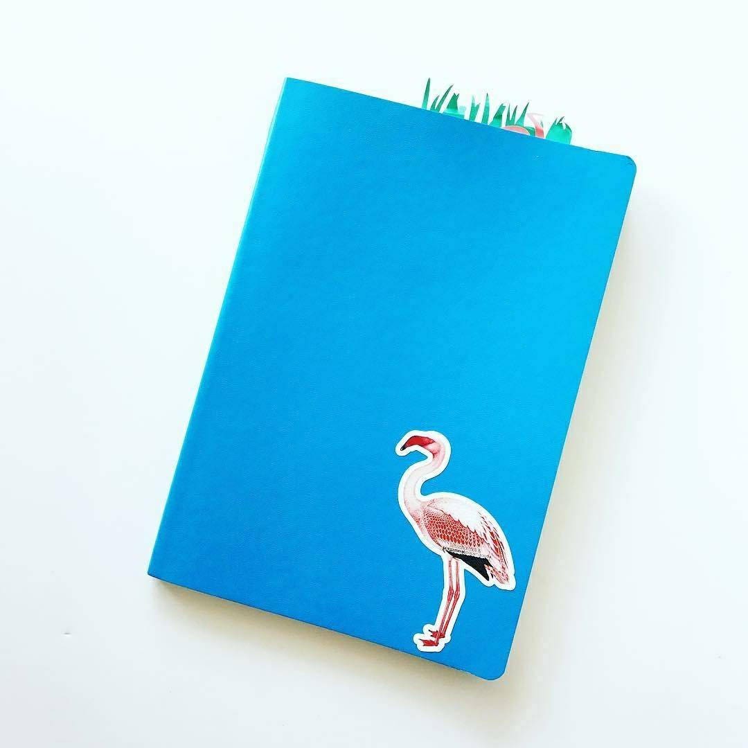 Vinyl Sticker Pack 5, Vintage Laptop Stickers, Camera Decal, Pineapple Decals, Sunflower Florida Flamingo Bee Pickle Peacock Butterfly - Thumbnail 3