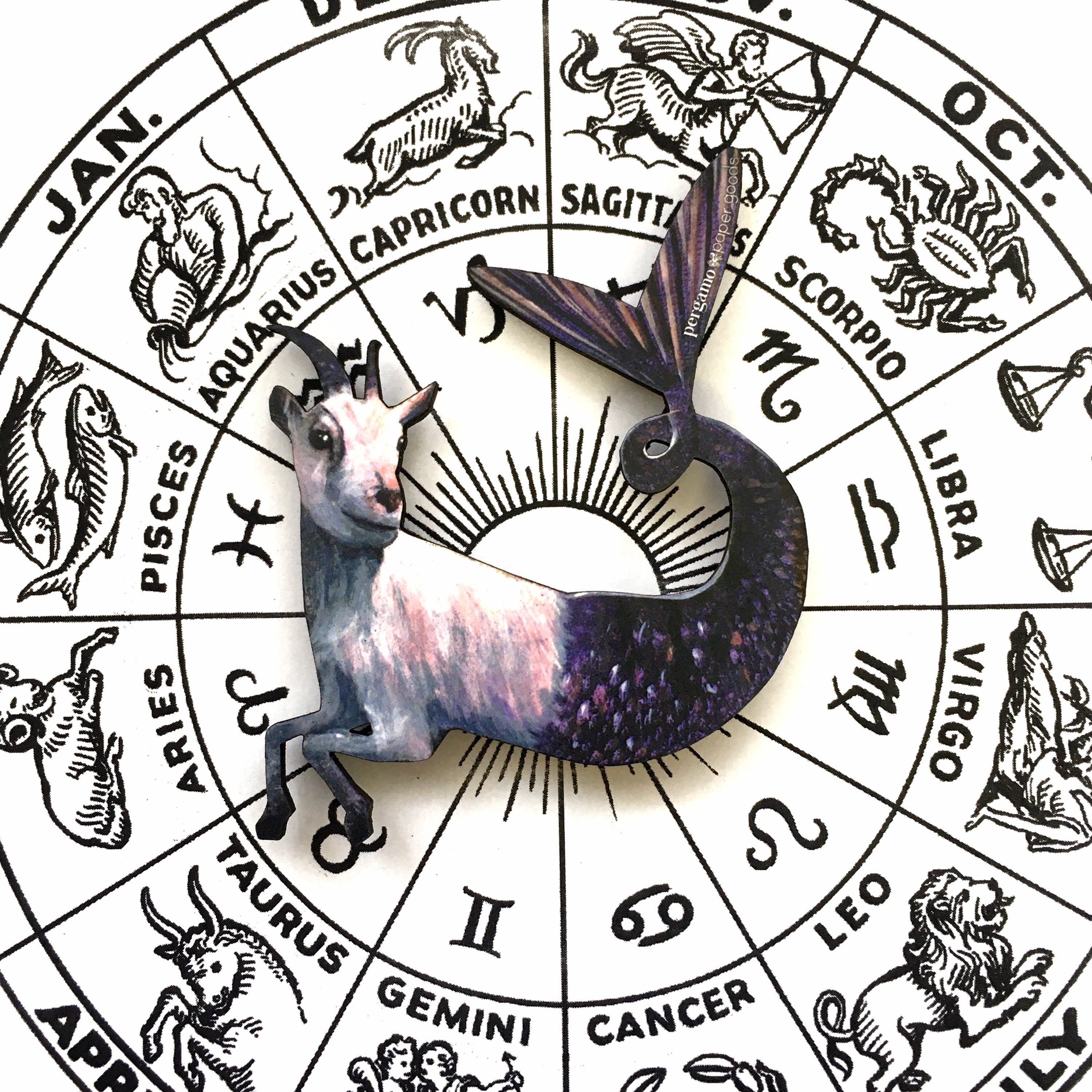 Zodiac Capricorn Magnet, Mermaid Goat Magnets Fridge, Zodiac Gifts, Mermaid Gifts, Weird Art, Animal Mermaid, Surreal Capricorn Gift, Witch