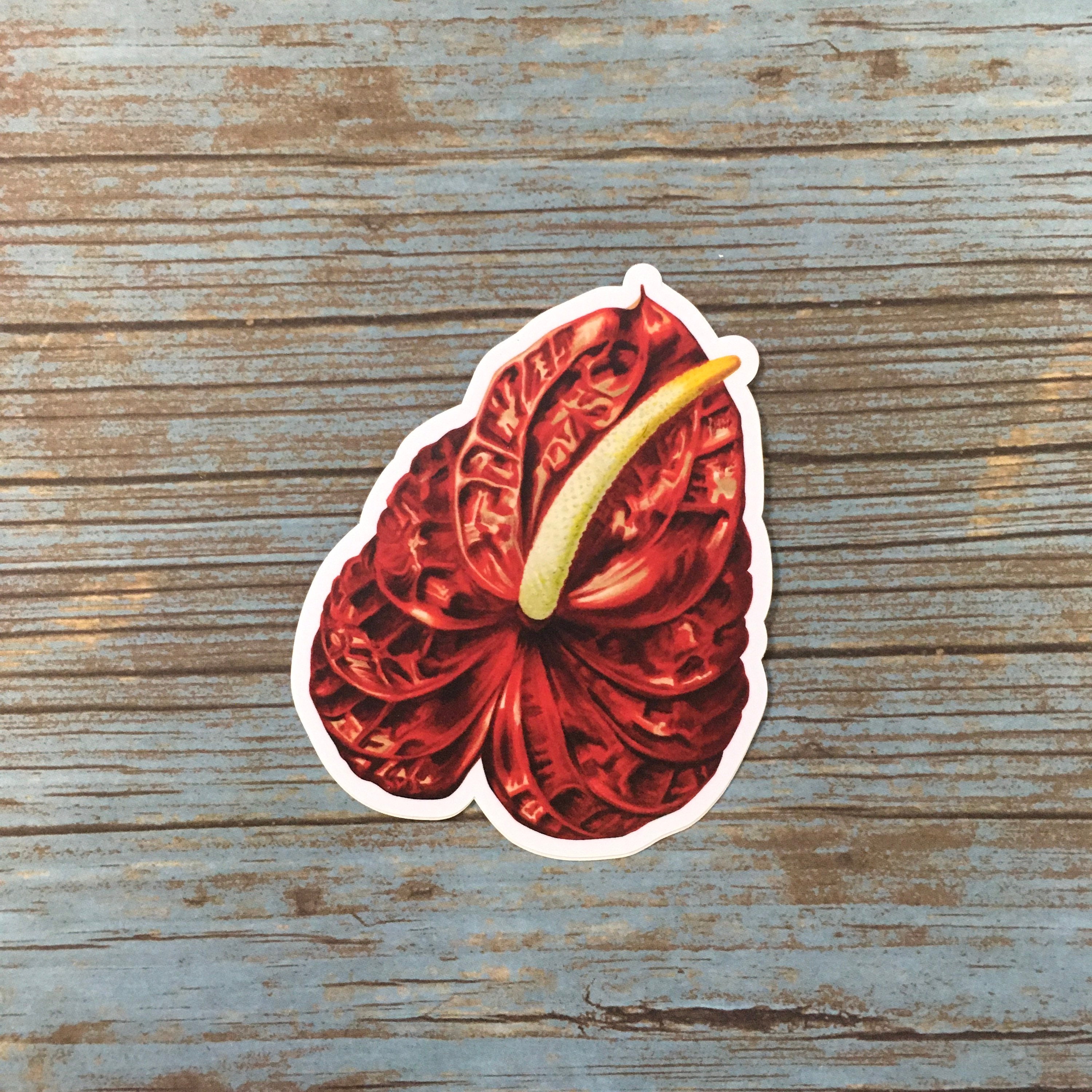 Red Anthurium Stickers, Vinyl Flowers Laptop Sticker Pack, Houseplants Decal Illustration Decals, Plant Mom Gifts, Tropical Plants Ephemera - Thumbnail 3
