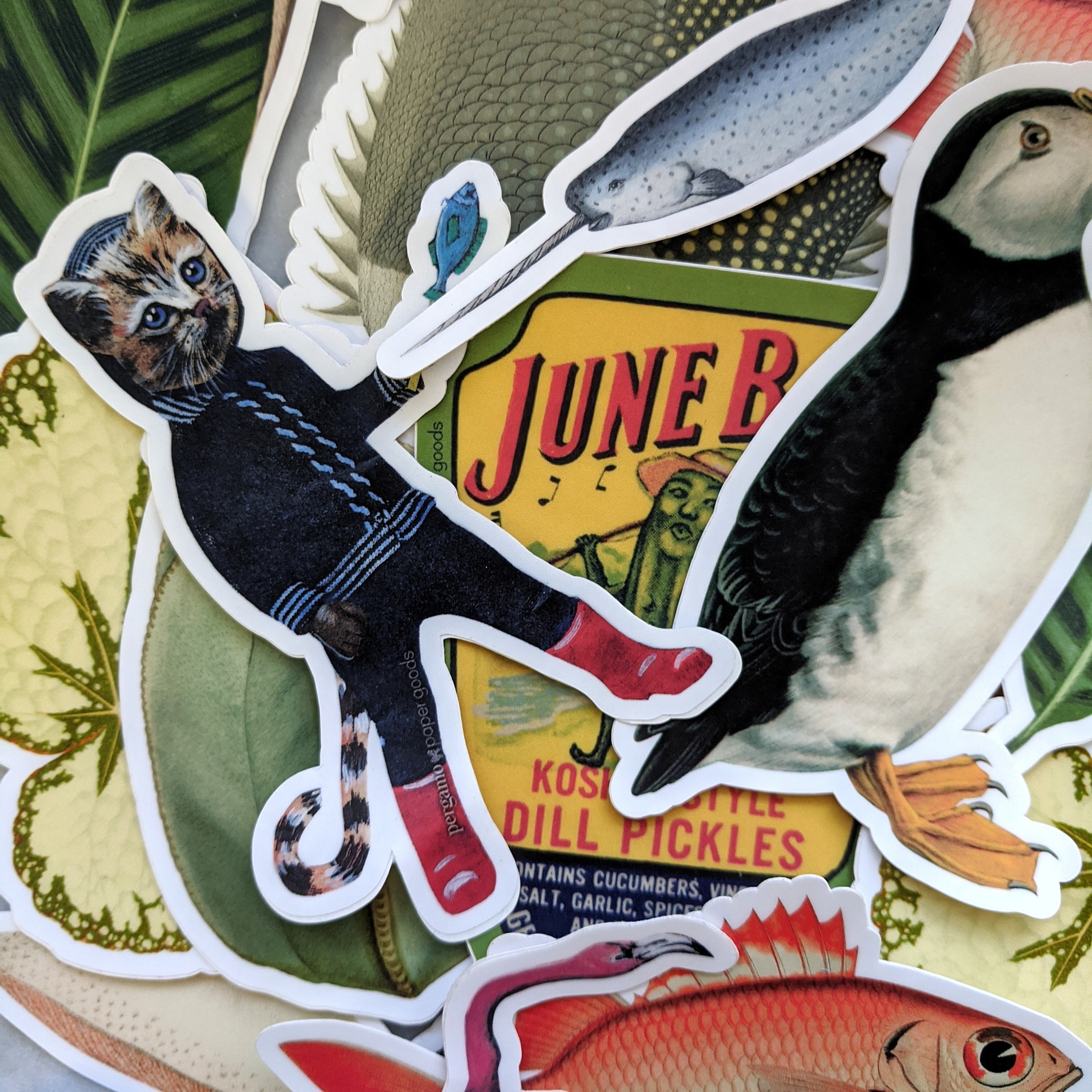 Vinyl Sticker Pack, Random Laptop Stickers, Waterproof Stickers, Phone Sticker, Cat Sticker, Pug Sticker, Water Bottle Sticker, Weird Art