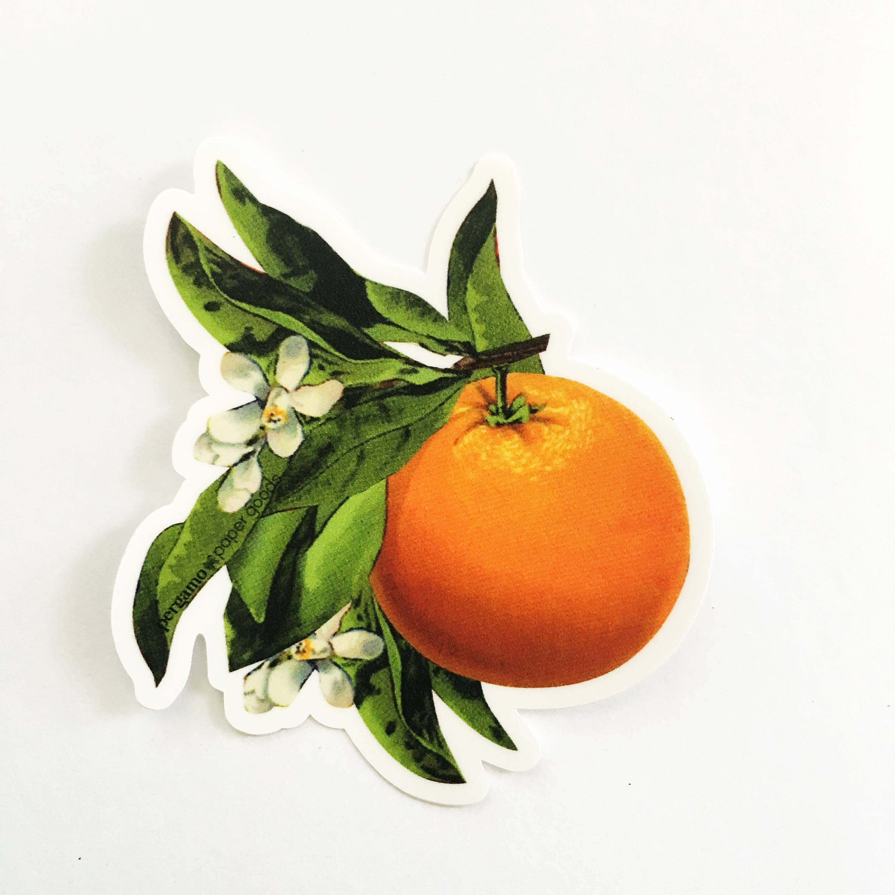 Orange Blossom Sticker, VSCO Vinyl Stickers Laptop, Retro Bumper Decals, Outdoor Car Flask Yeti Decal, Waterbottle Florida Vintage Botanical - Thumbnail 4