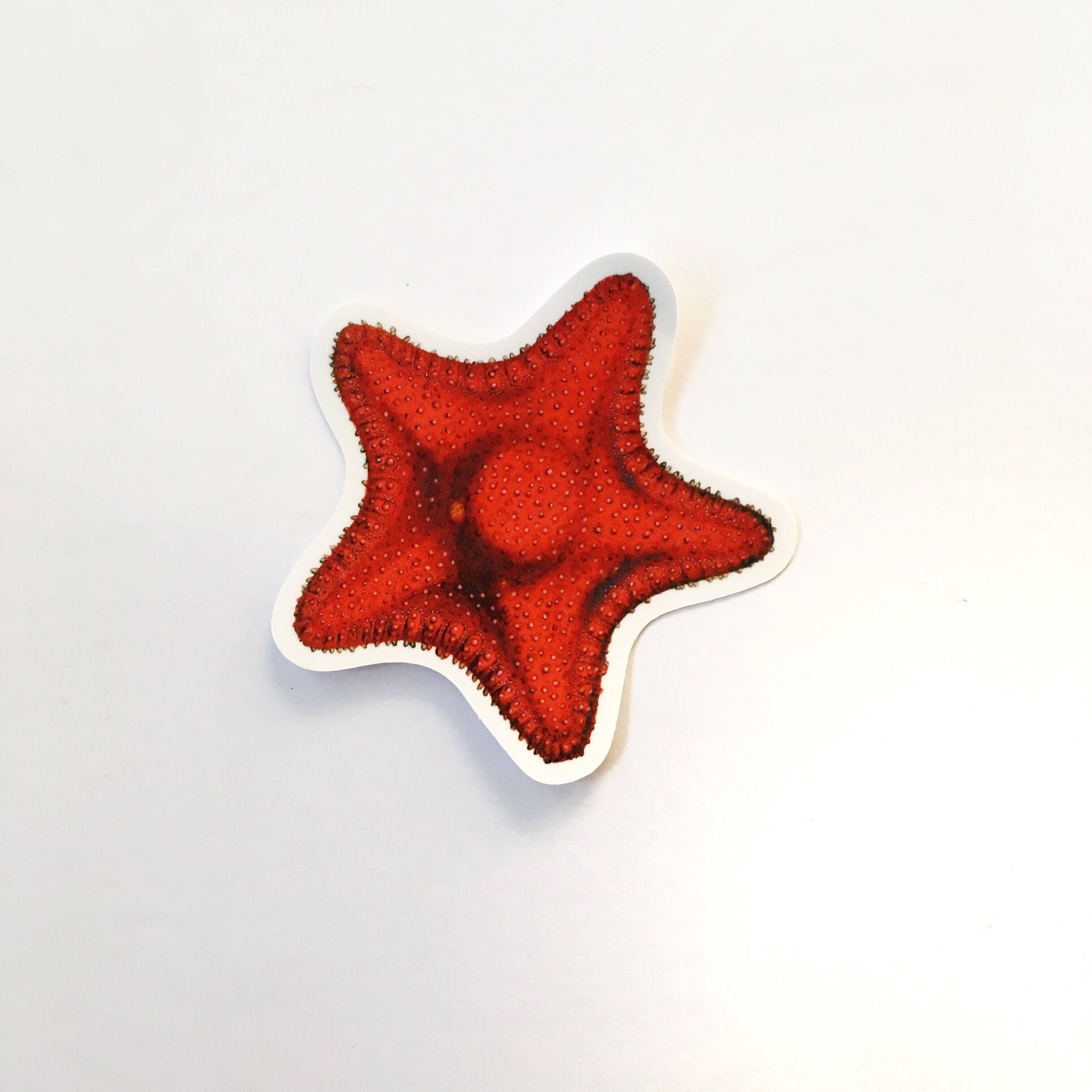 Starfish Sticker, Sea Star Vinyl Vintage Stickers, Bumper Decal, Laptop Decals, Outdoor Yeti Hydroflask Bullet Journal Junk Nautical Mermaid - Thumbnail 2