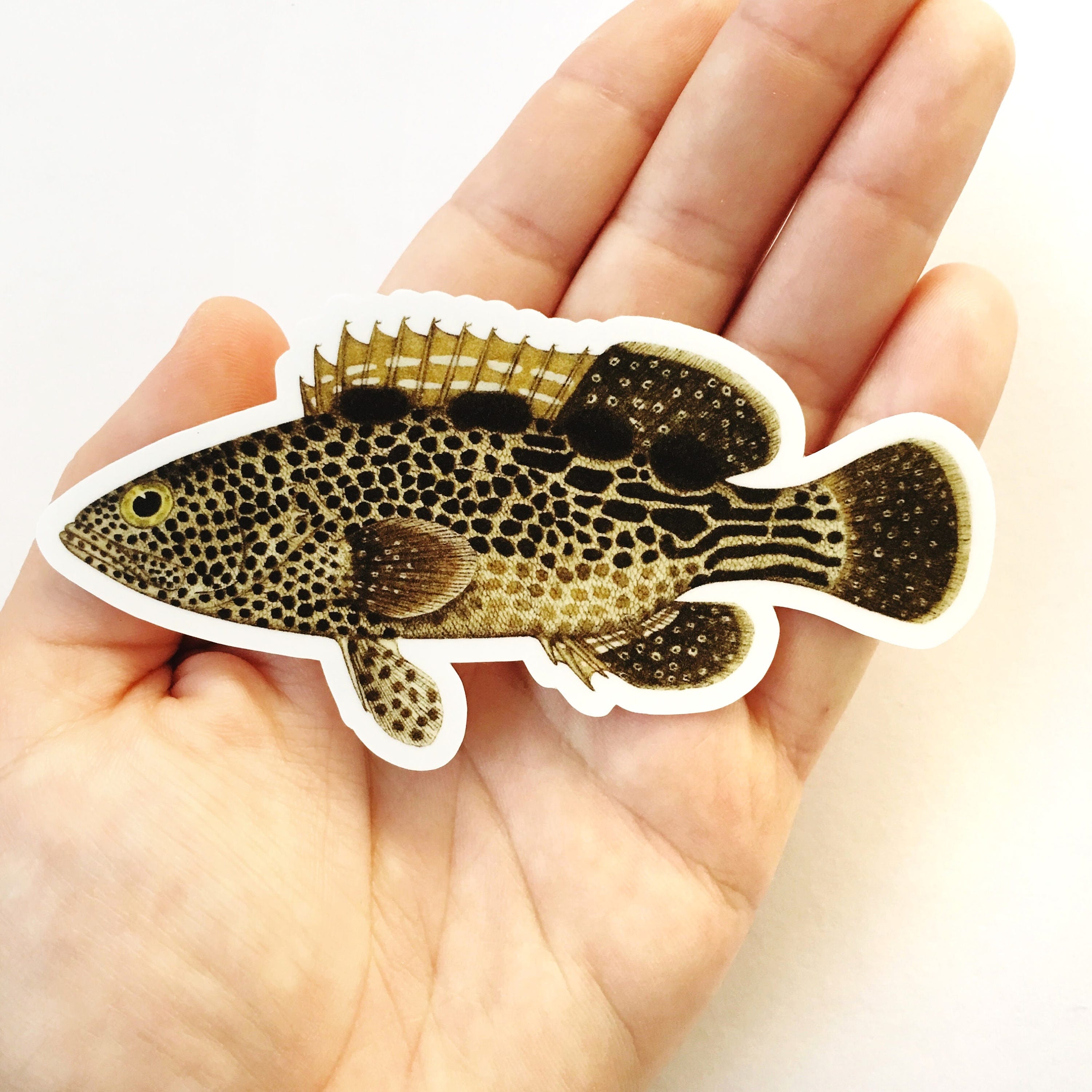 Fish Sticker, Grouper Vinyl Vintage Stickers, Laptop Macbook Flask Bumper Decal, Durable Outdoor Decals for Him, Fishing Fisherman Gifts