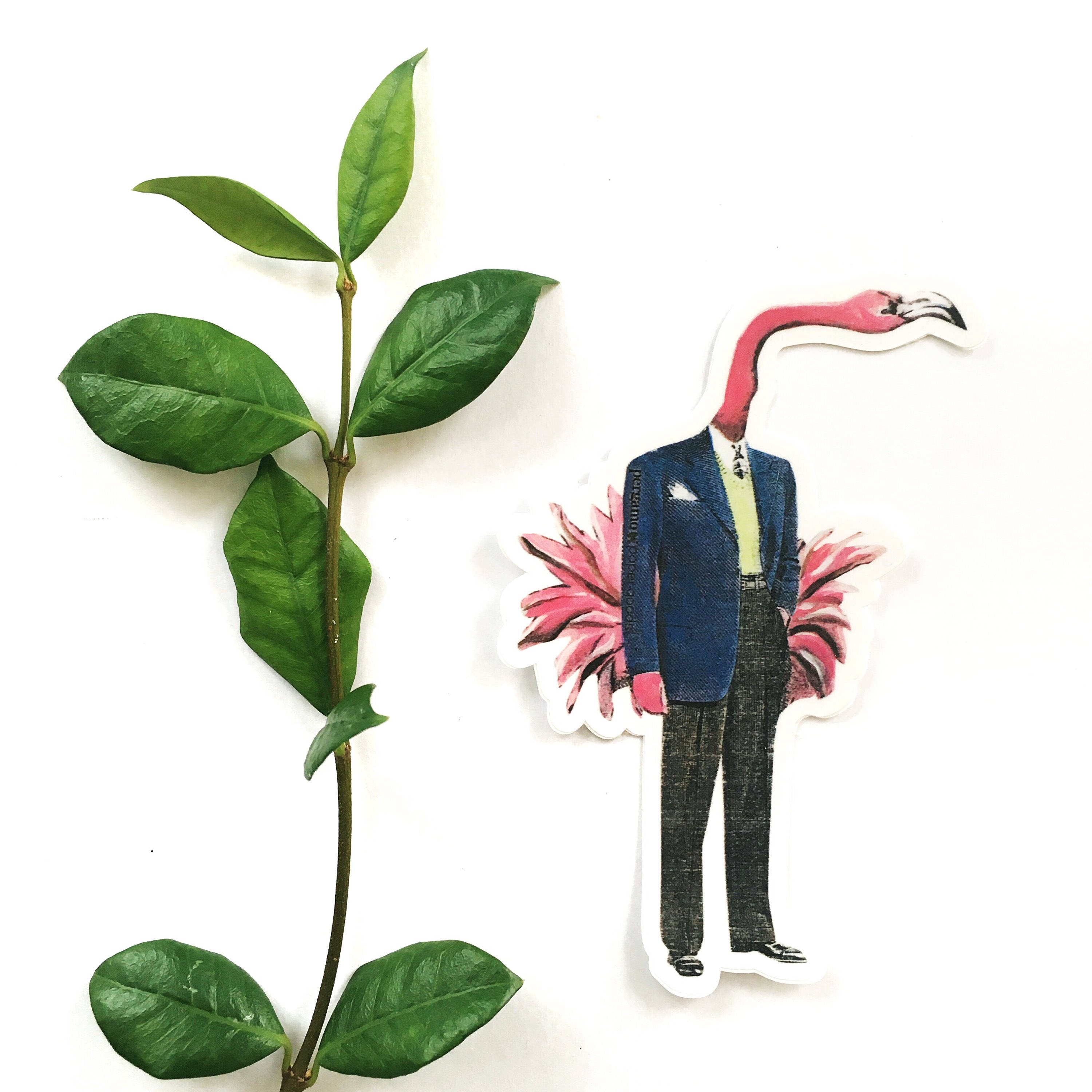 Flamingo Sticker, Florida Stickers,  Vinyl Laptop Sticker, VSCO Vinyl Decal, Bumper Yeti Decals Outdoors Hydroflask, Weird Vintage Whimsy - Thumbnail 2