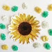 Sunflower Sticker, Flower Vinyl Stickers, Vintage Botanical Bumper Laptop Sticker Pack, Outdoor Nonfade Water bottle Decals, Wholesale Gifts 