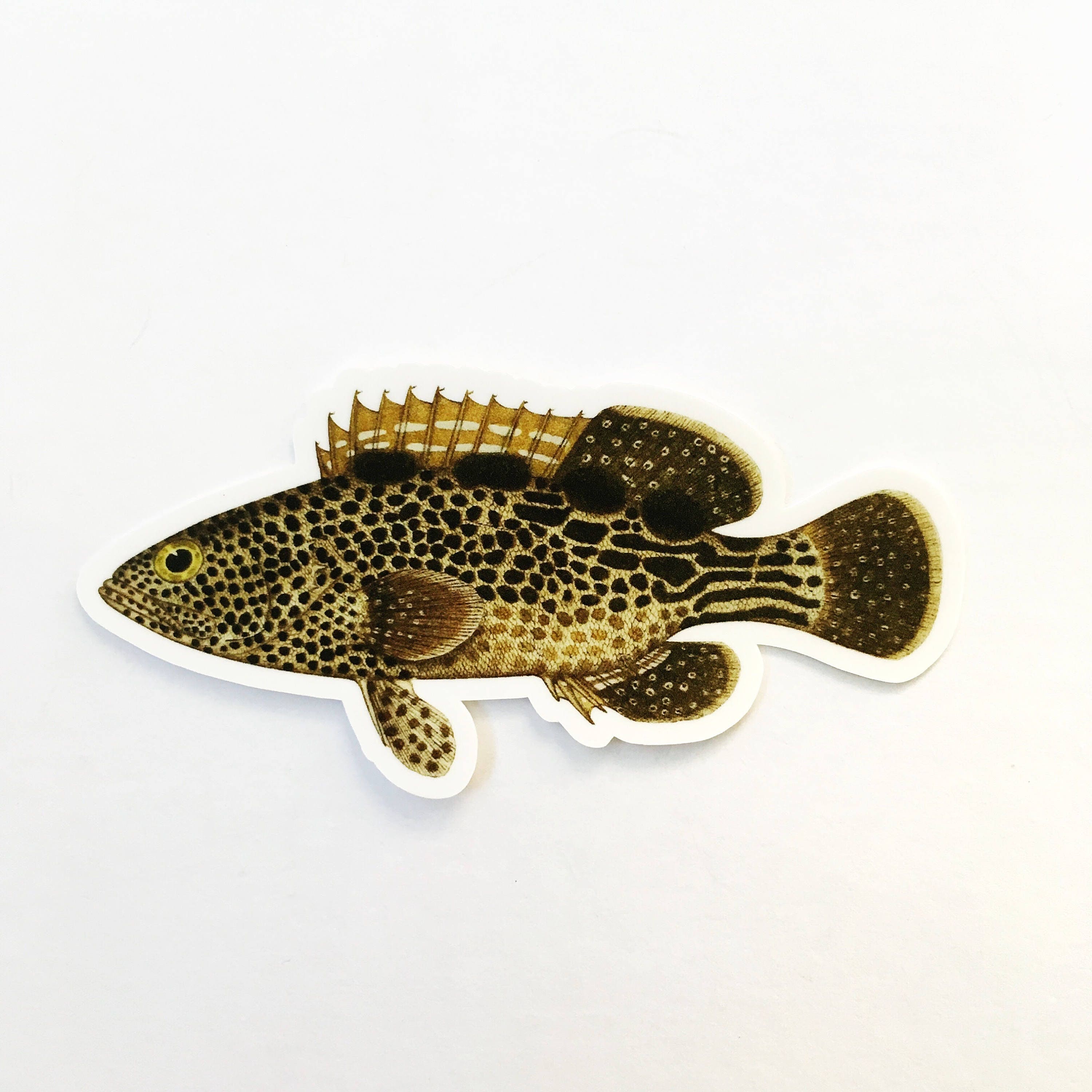 Retro Fish Sticker Fish Sticker, Grouper Vinyl Vintage Stickers, Laptop MacBook Flask ...