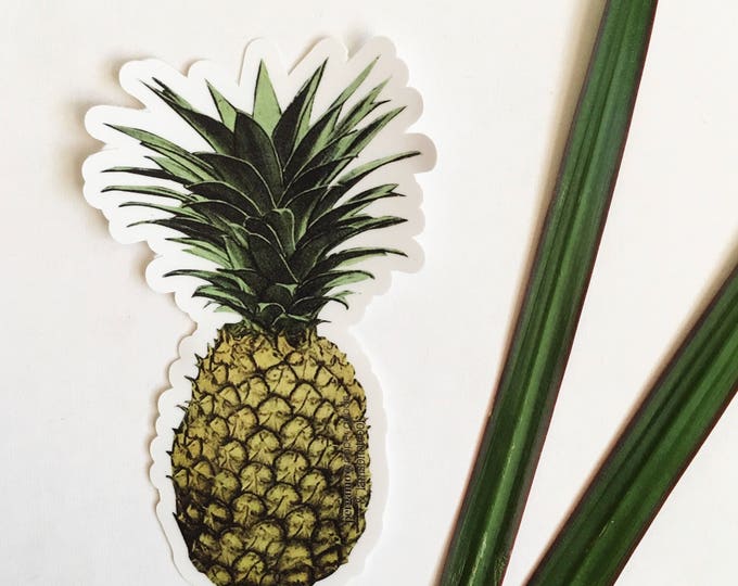 Red Fish Sticker Soldierfish Vinyl Vintage Stickers Bumper | Etsy