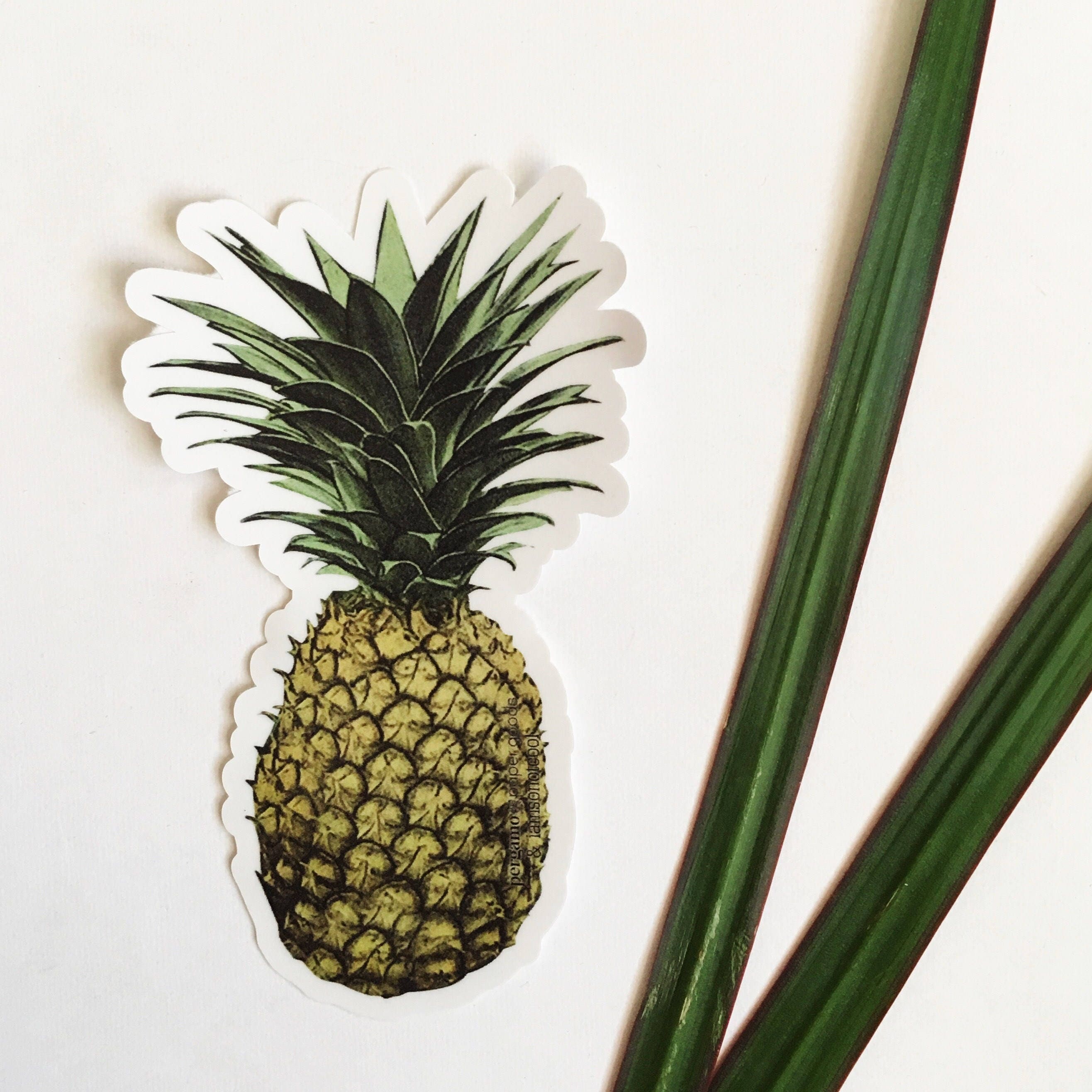 Pineapple Sticker, Vinyl Vintage Laptop Stickers, Bumper Flask Macbook Decal, Car Decals Yeti, Tropical Beachy Hawaii Luau Beach Vacation