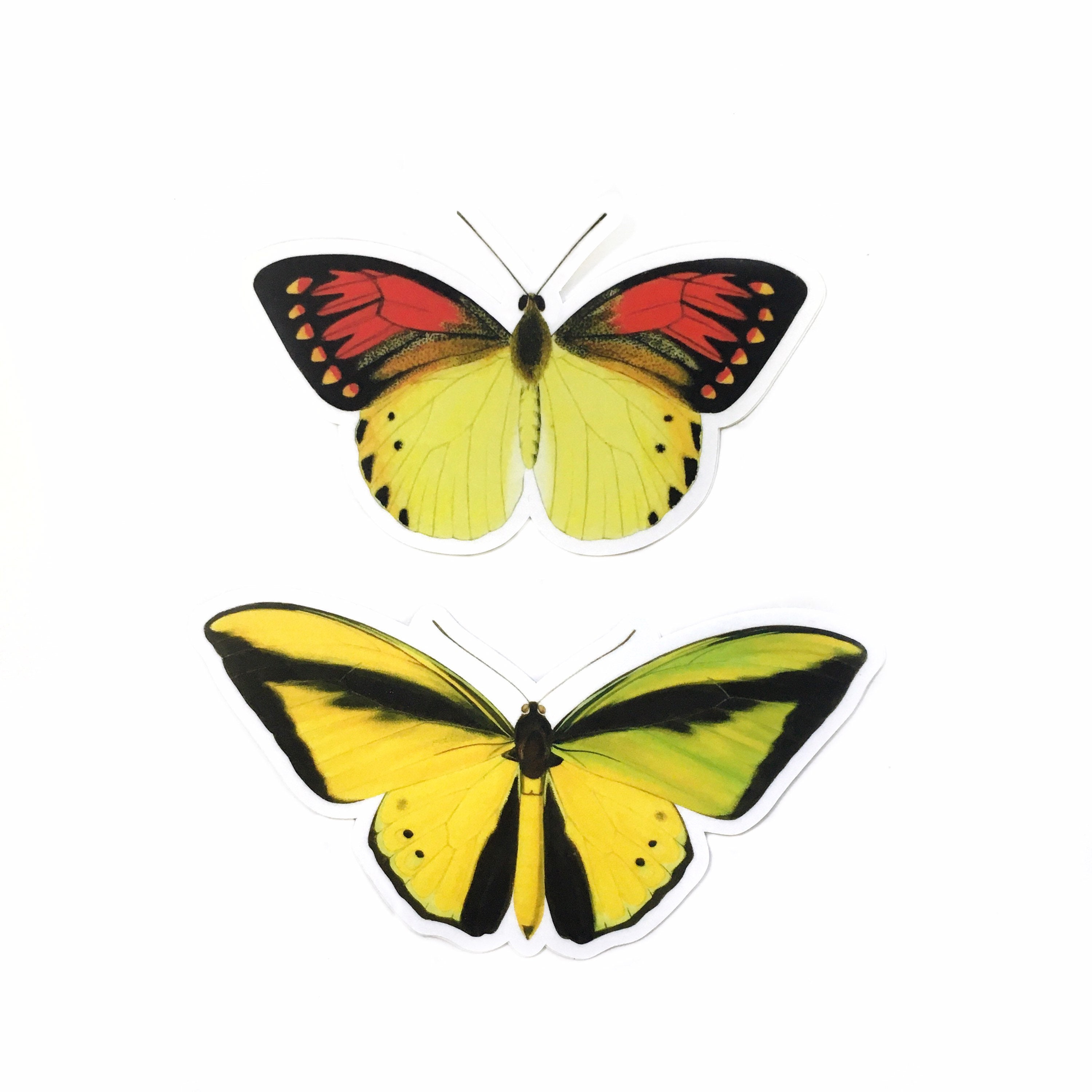 Butterfly Stickers, Vinyl Sticker Pack, Mix and Match Decals, Retro Nonfade Vintage Botanical Decal, Laptop MacBook Nature Antique - Thumbnail 6