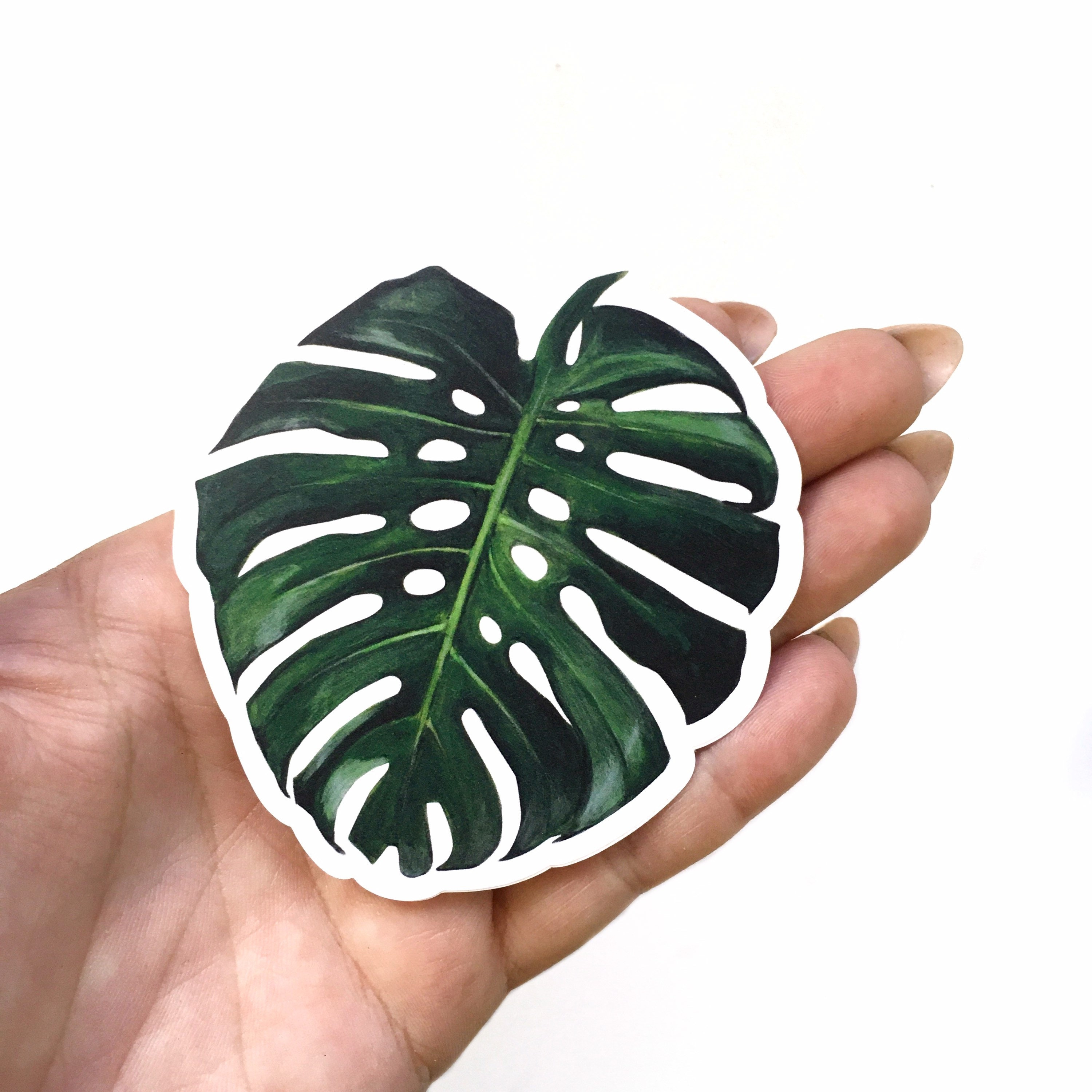 Monstera Stickers Vinyl, Laptop Sticker Pack, Vintage Decal, Botanical Illustration Plant Mom Plants Green Thumb, Deliciosa Tropical