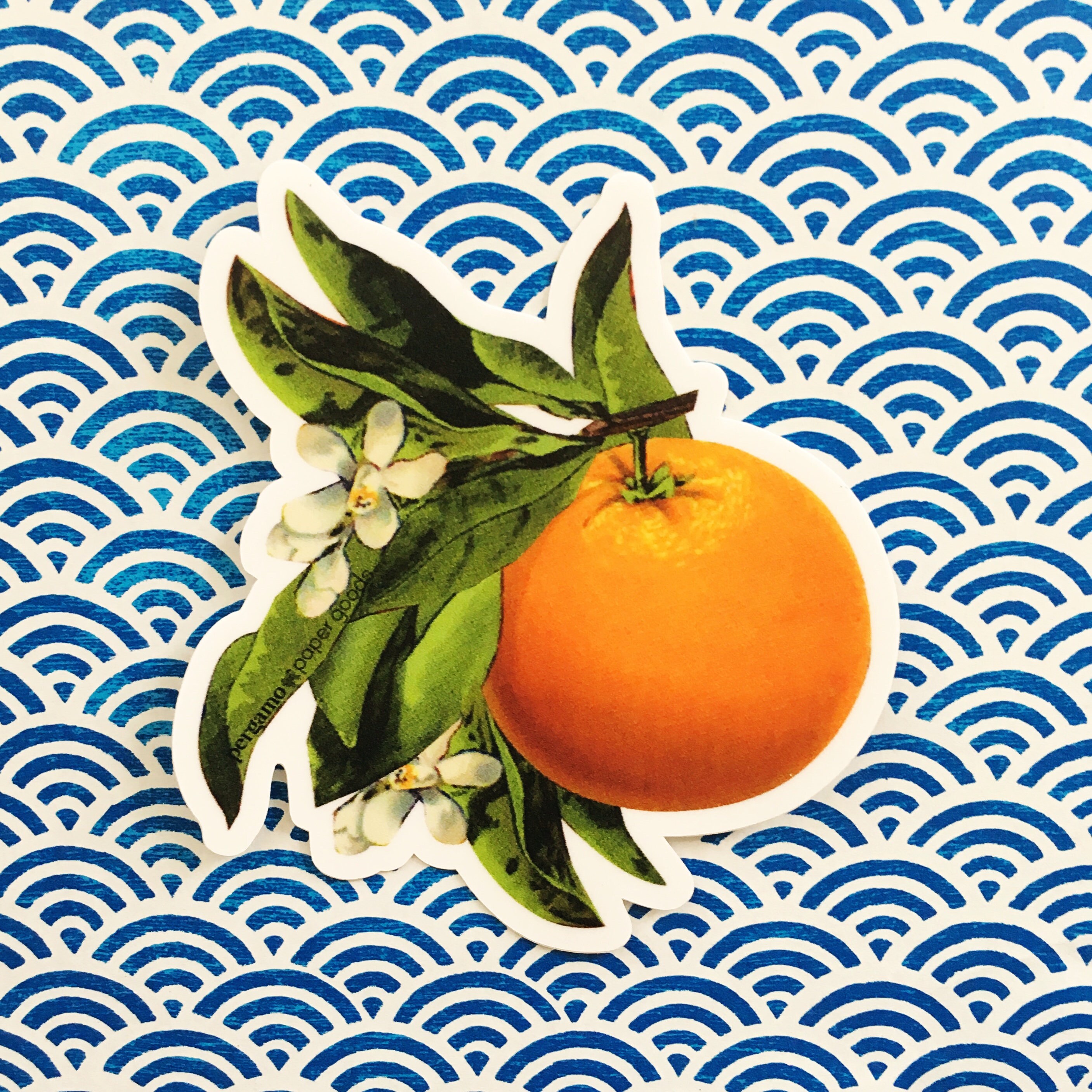 Orange Blossom Sticker, VSCO Vinyl Stickers Laptop, Retro Bumper Decals, Outdoor Car Flask Yeti Decal, Waterbottle Florida Vintage Botanical - Thumbnail 6