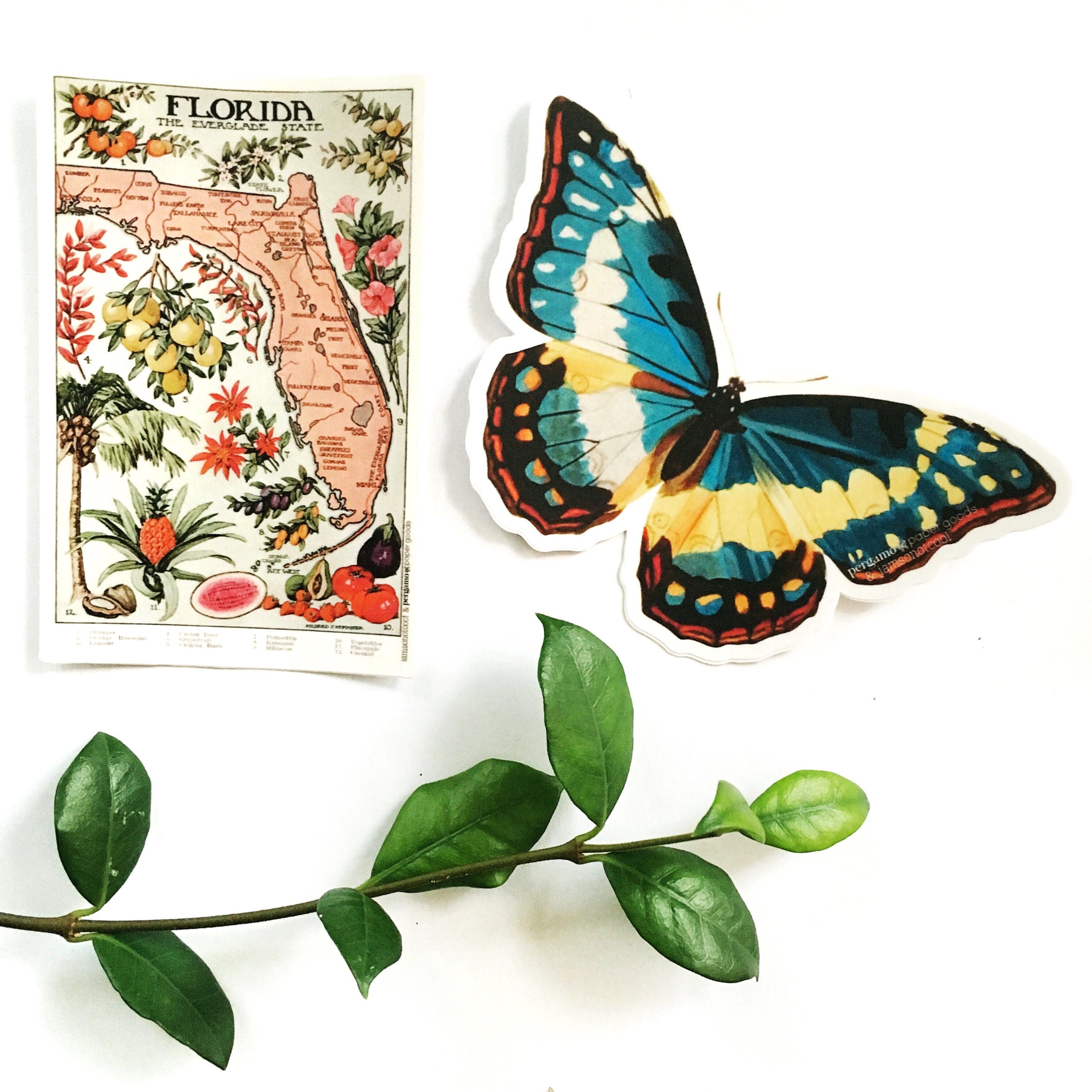Butterfly Laptop Sticker Pack, Mix and Match Decals, Retro Vinyl Stickers, Nonfade Vintage Pretty Outdoor Water Bottle MacBook Decal Nature - Thumbnail 7