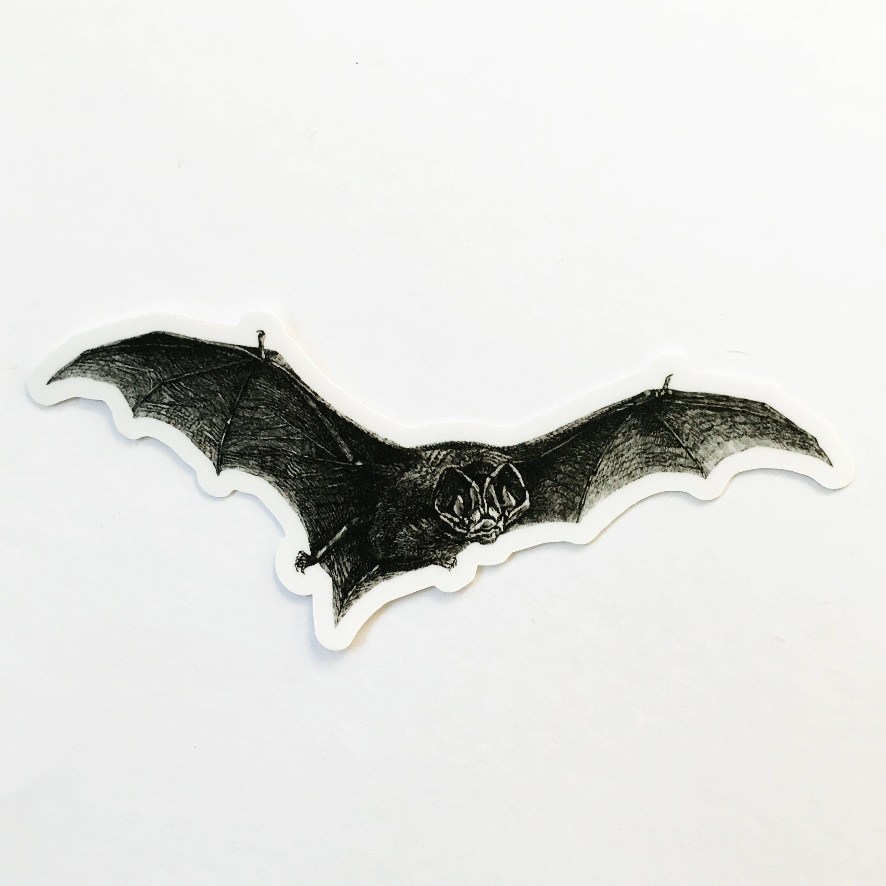 Vampire Bat Sticker, Durable Vintage Halloween Vinyl Stickers, Weird Creepy Laptop Sticker Pack Hydroflask Waterbottle Lowbrow High Quality - Thumbnail 3