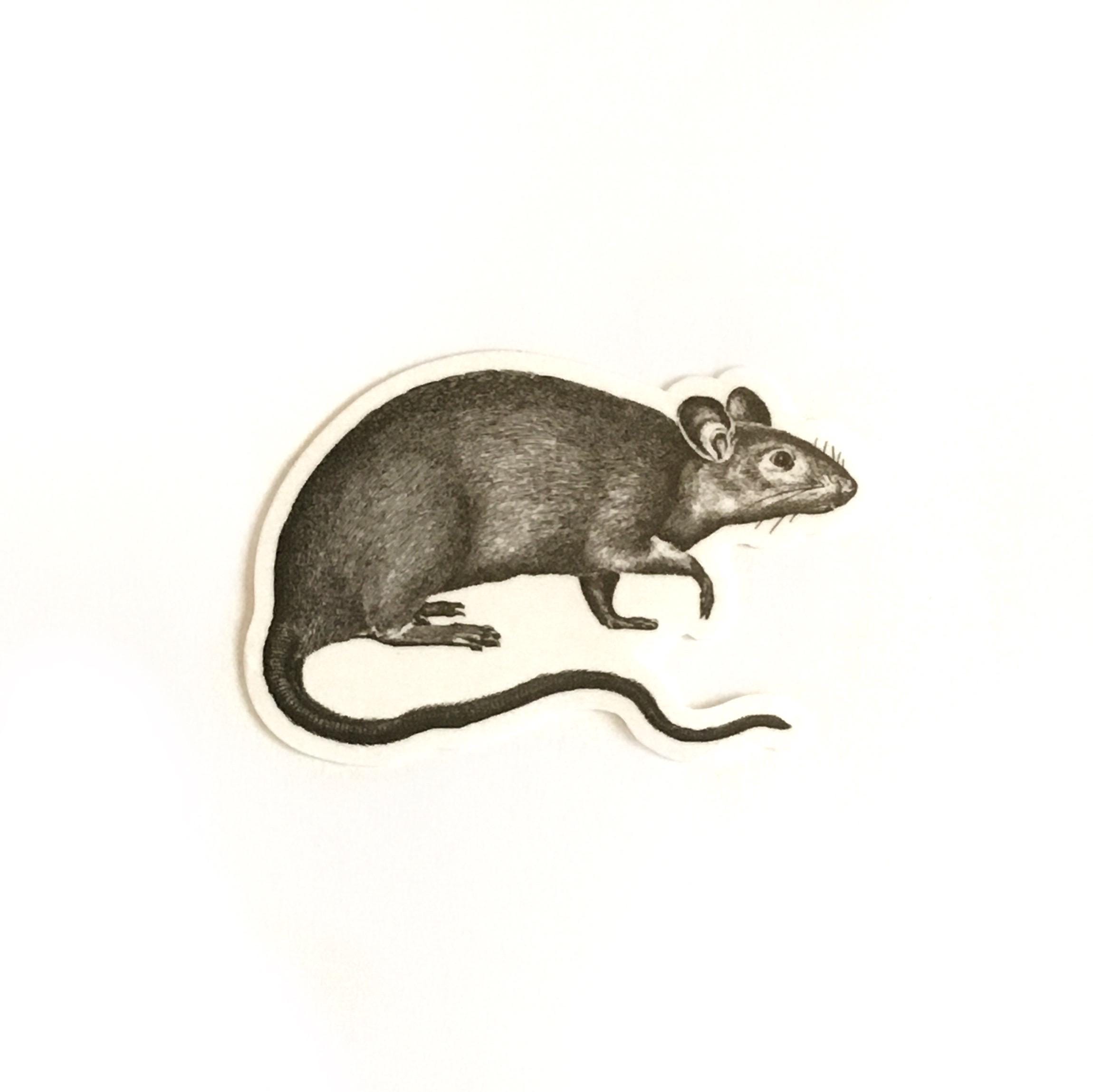 Rat Vinyl Stickers, Black and White Rodent Vintage Halloween Vinyl Sticker Pack, Creepy Decals, Vinyl Decal, Gift for Rat Mom or Dad - Thumbnail 2