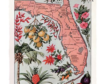 Vintage Florida Print - 8x10