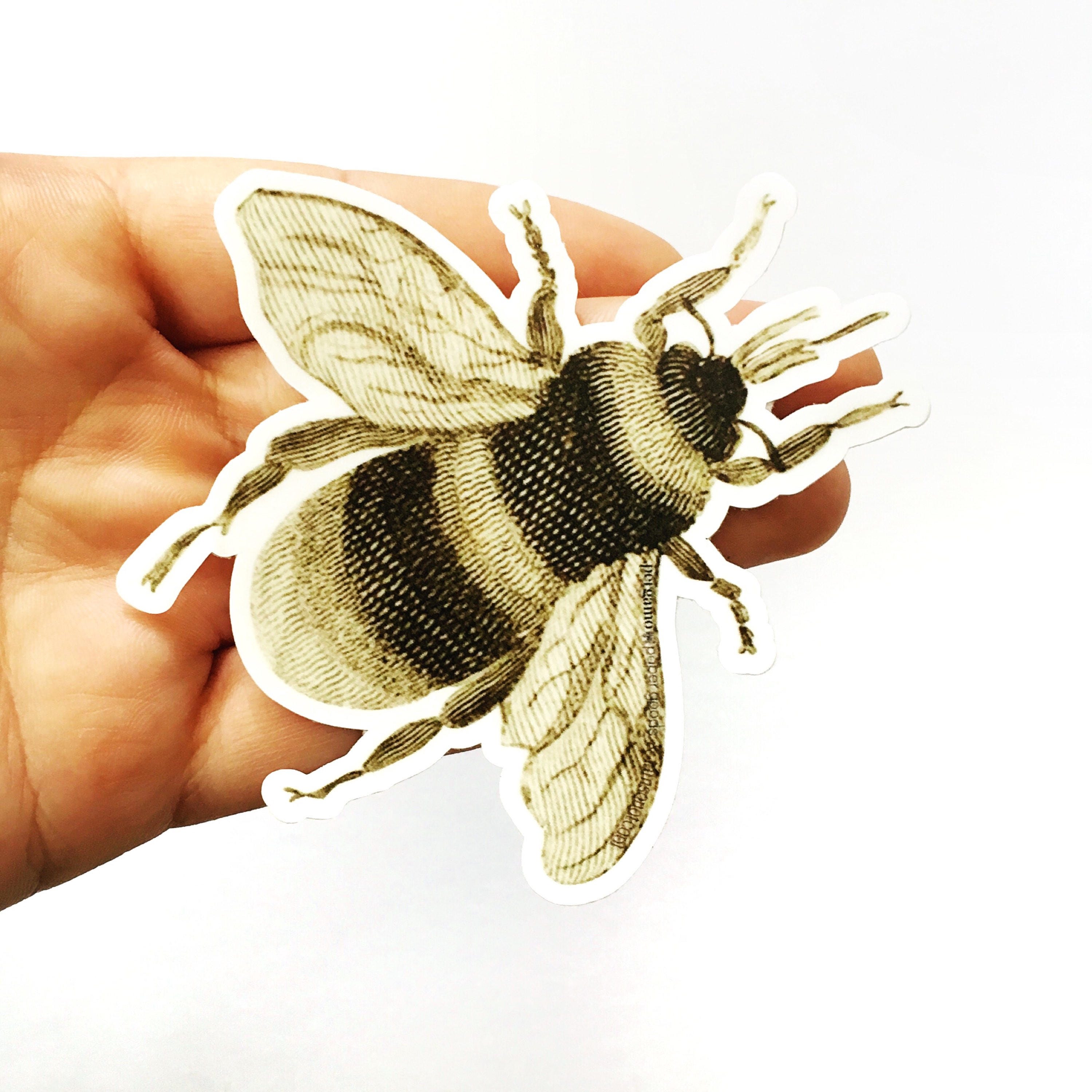 Bee Laptop Sticker, Vinyl Retro Stickers, Bumper Sticker, VSCO Laptop Decal, Hydroflask Nonfade Waterbottle Decals, Antique Insect Botanical - Thumbnail 3