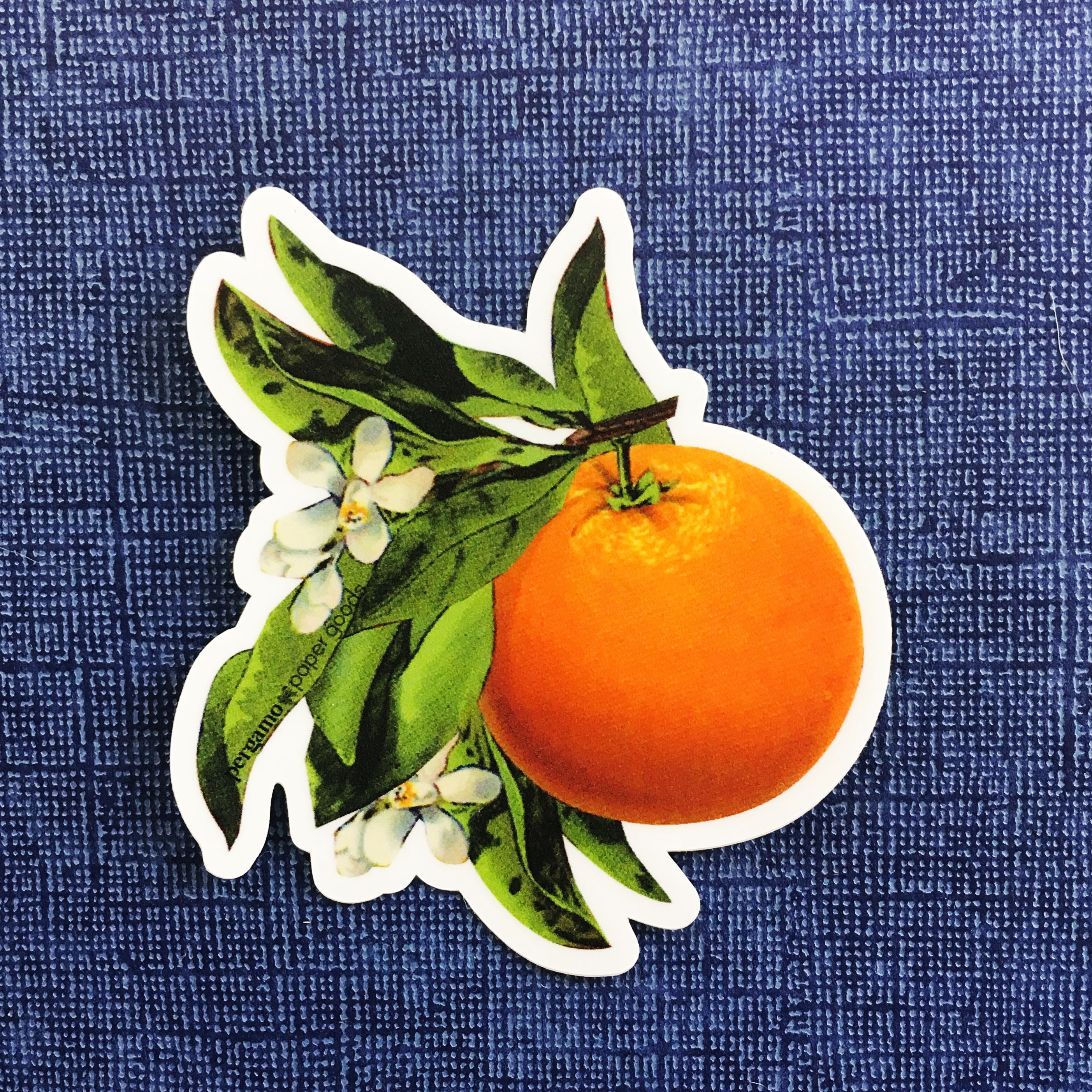 Orange Blossom Sticker, VSCO Vinyl Stickers Laptop, Retro Bumper Decals, Outdoor Car Flask Yeti Decal, Waterbottle Florida Vintage Botanical - Thumbnail 3