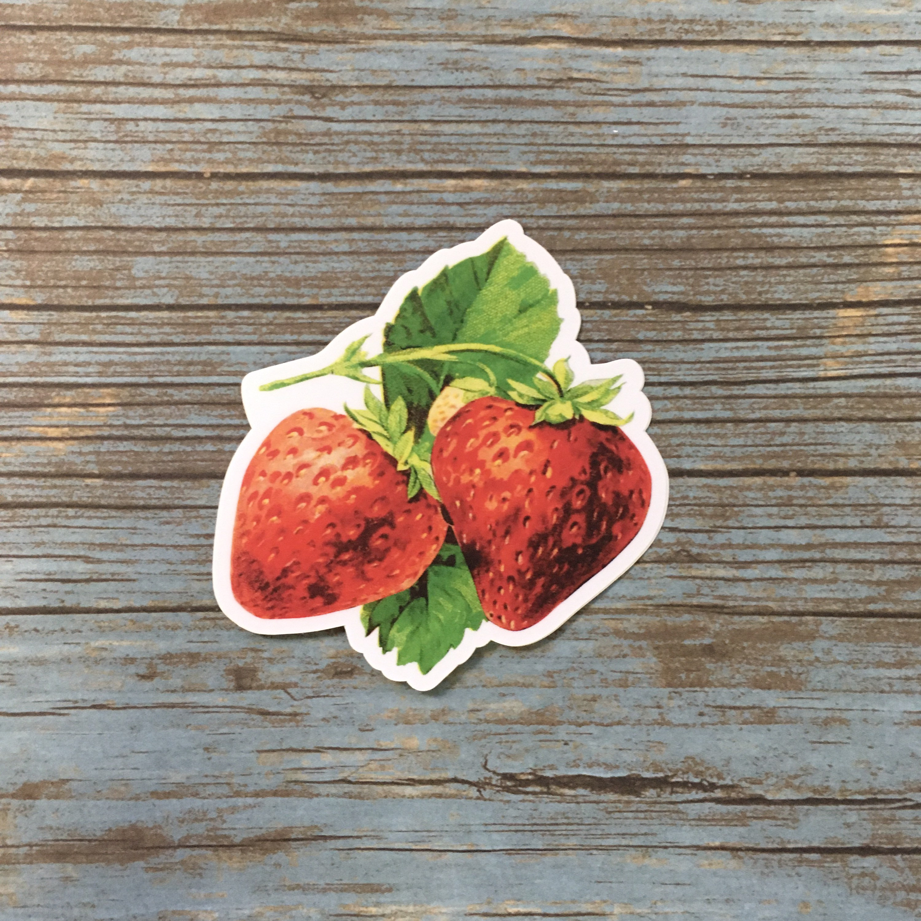 Strawberry Sticker, Vintage Fruit Decal Pack, Flower Vinyl Stickers Laptop, Berry Plant Decals, Macbook Junk Journal, Cottagecore Gifts - Thumbnail 4