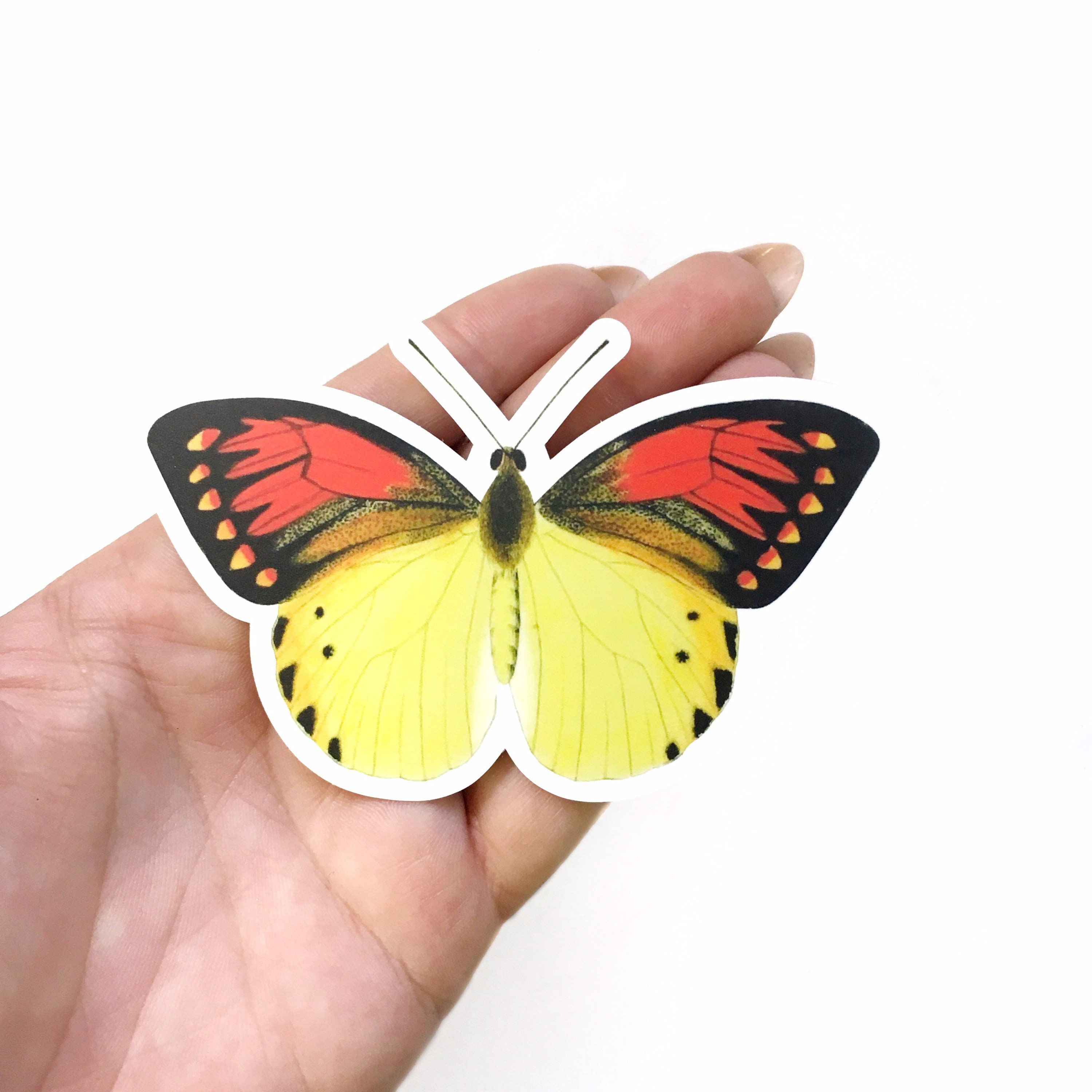Butterfly Vinyl Stickers, Red Yellow Sticker Pack, Mix and Match Decals, Retro Nonfade Vintage Water Bottle MacBook Hydro Flask Decal Nature