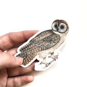 Pack d&#39;autocollants en vinyle hibou, autocollant oiseau, autocollant pour ordinateur portable, autocollants d&#39;extérieur, autocollant bouteille d&#39;eau bombe années 50 60 70 années hibou antique