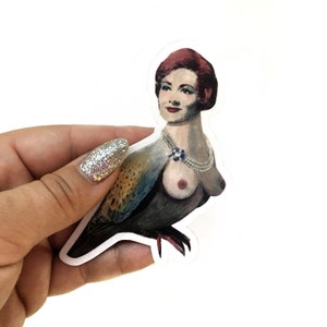 Harpy Sticker, Weird Laptop Stickers, 50s Pin Up Pinup Waterproof Weird Decal, Outdoor Decals, Yeti Water Bottle, Cute Kitten Kitsch Kitschy image 1