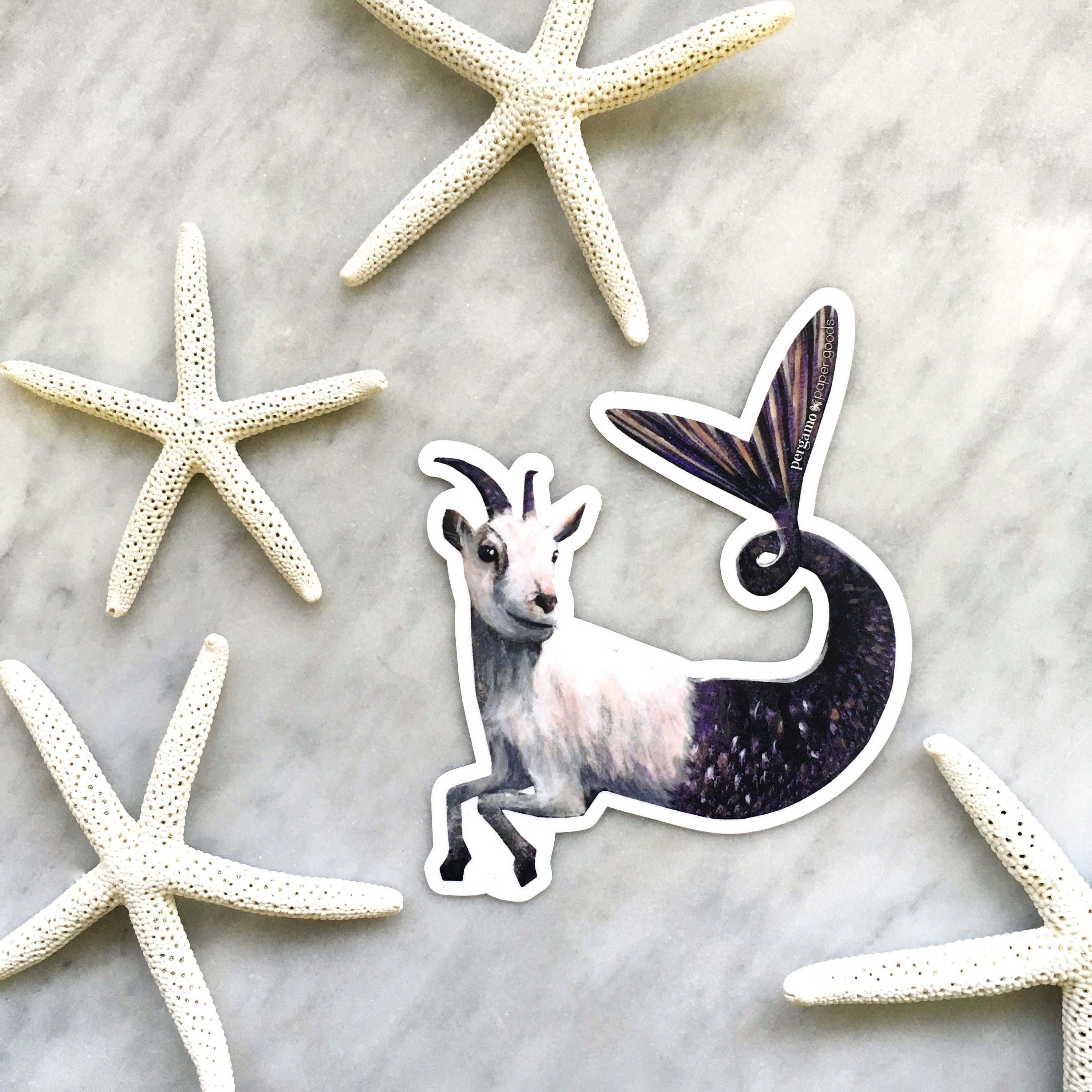 Capricorn Sticker, Goat Mermaid Sticker, Zodiac Sticker, Goat Art, Laptop Sticker, Dog Sticker, Outdoor Sticker, Goat Gifts, Weird Stickers - Thumbnail 4