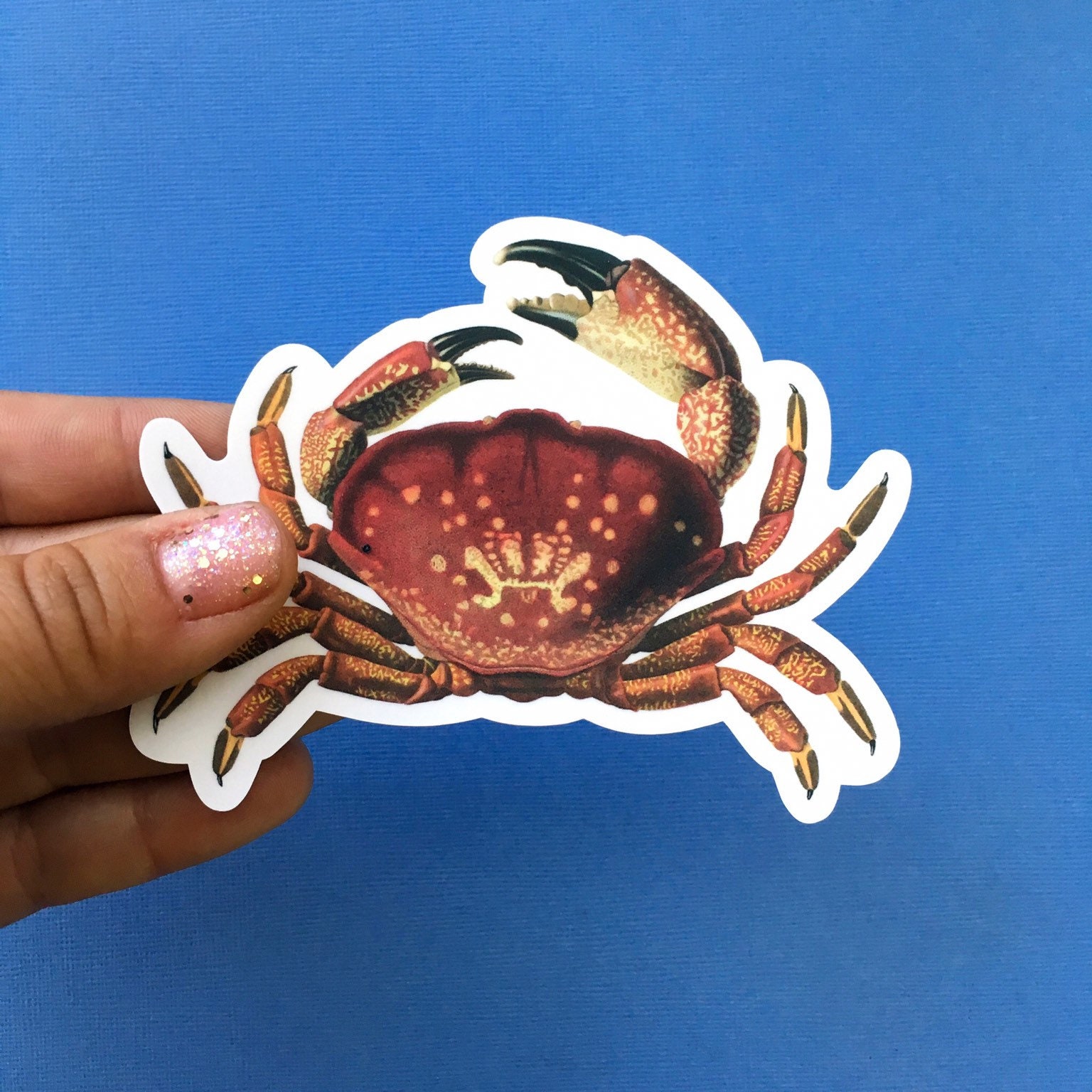 Crab Sticker, Vinyl Stickers, Macbook Sticker Pack, Florida Laptop Decal, Outdoor Decals for Water Bottle Hydroflask Bullet Journal, Crabs - Thumbnail 2
