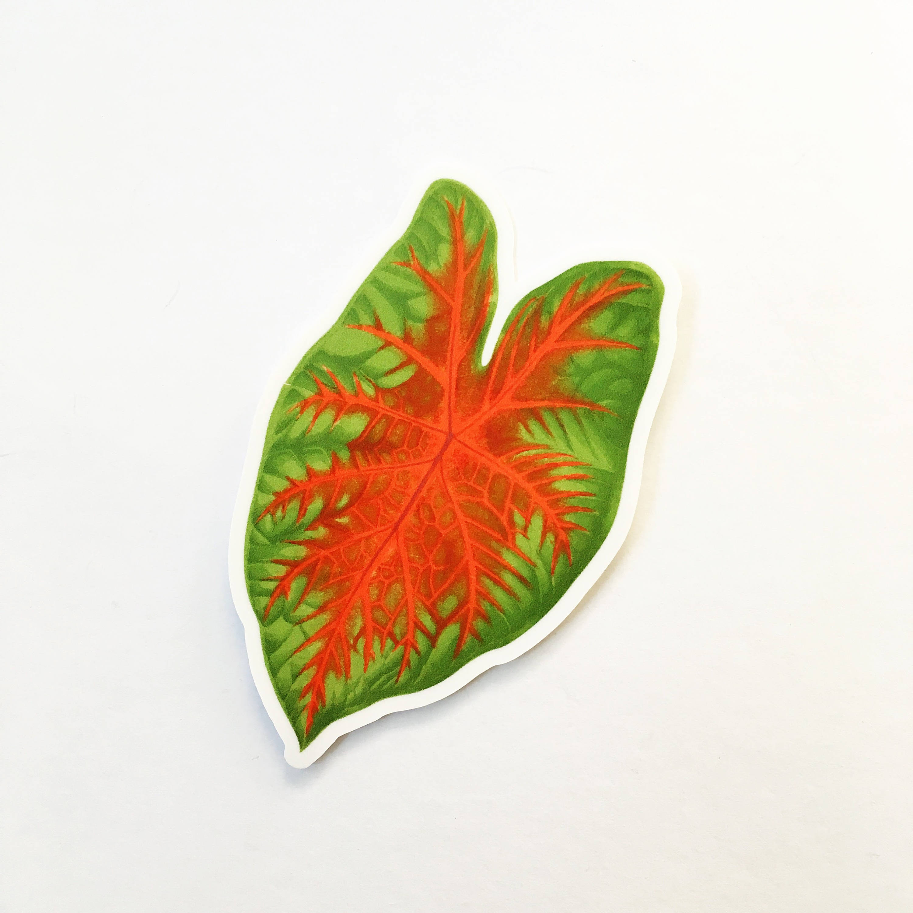 Tropical Leaf Sticker, Caladium Vinyl Stickers, Laptop Sticker Pack, Outdoor Leaf Decal, Water Bottle Vintage Botanical, Yeti Hydroflask - Thumbnail 2