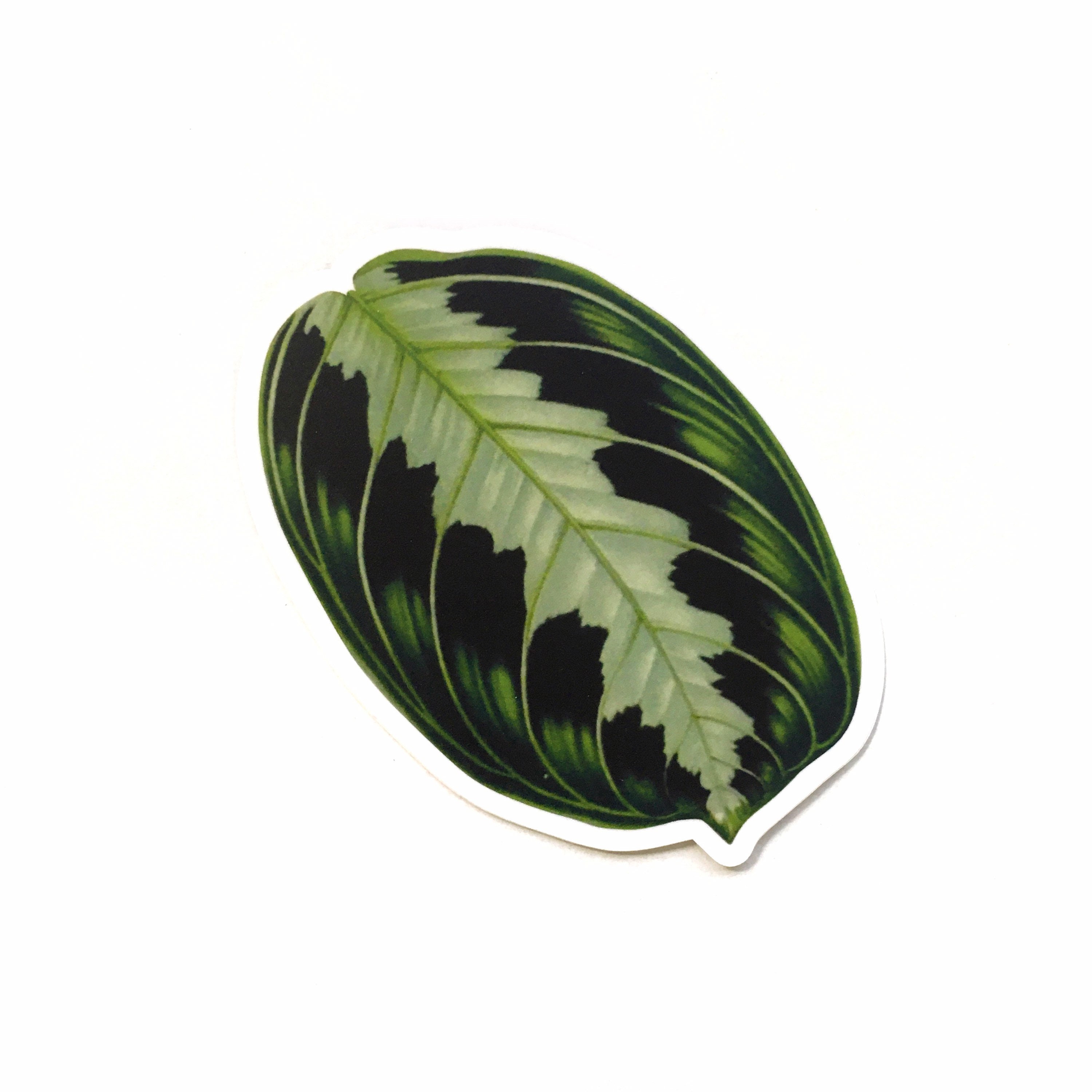 Prayer Plant Stickers, Maranta Leaf Vinyl Decal, Laptop Sticker Vintage Decal Pack, Plants Tropical Houseplants Junk Journal Antique Gift - Thumbnail 2