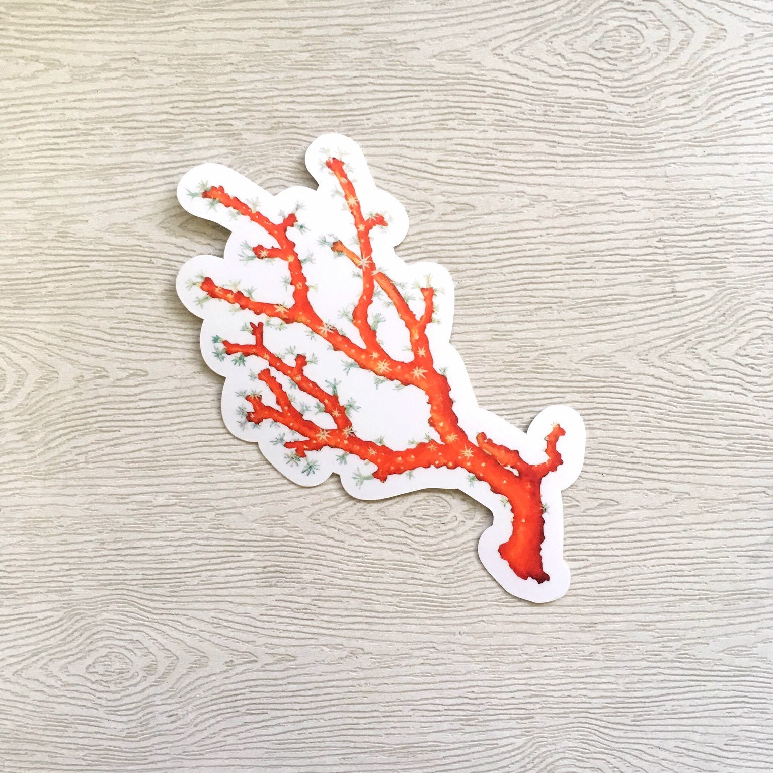 Red Coral Sticker, Vintage Botanical Vinyl Sticker Pack, Antique Sea Life Stickers, Ocean Laptop Decals, Beach Life Decal for Journal, Flask - Thumbnail 5