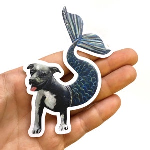 May include: A black and white dog with a blue and green mermaid tail. The dog is standing on all fours and has a happy expression on its face. The text "pengrino paper goods" is written on the tail.