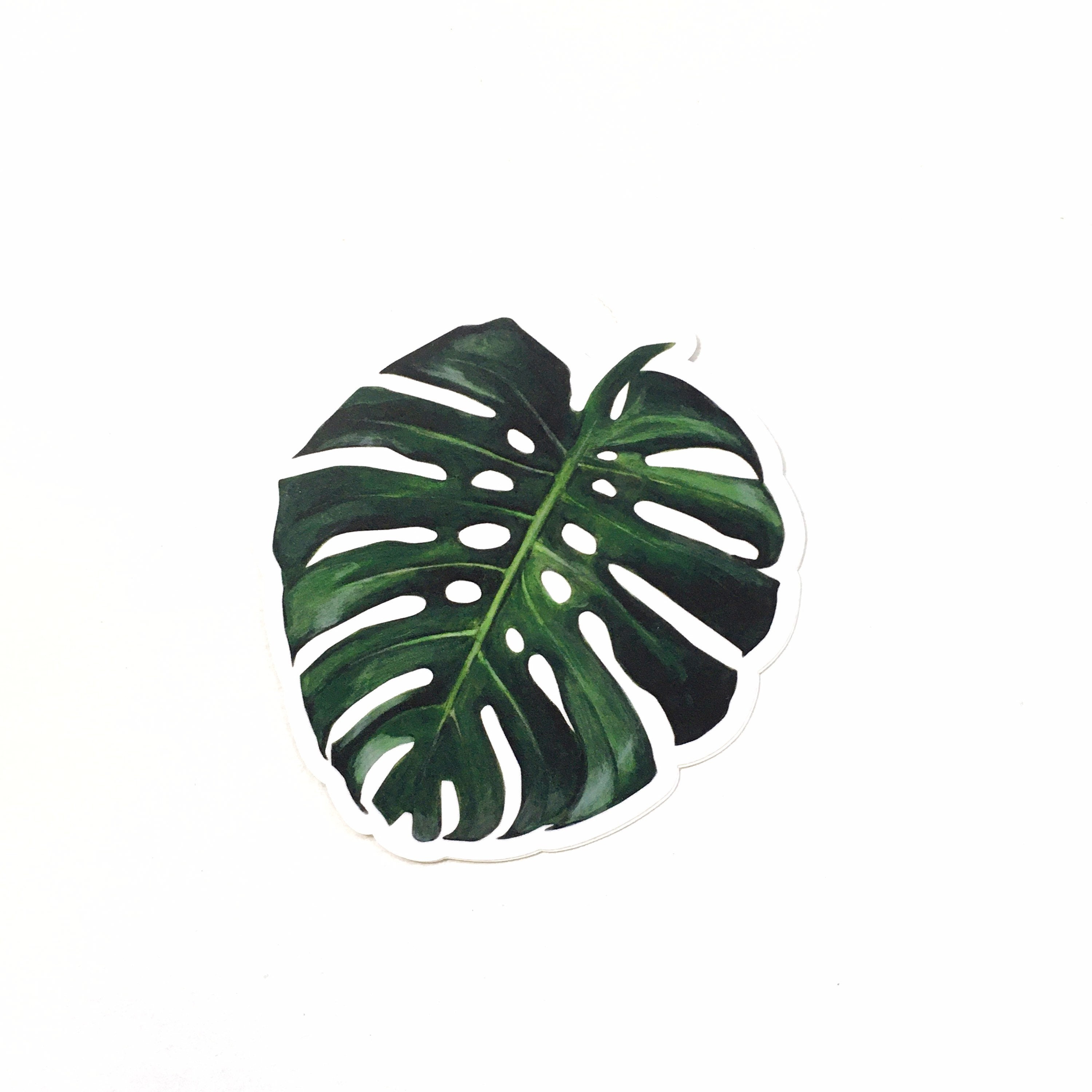 Monstera Stickers Vinyl, Laptop Sticker Pack, Vintage Decal, Botanical Illustration Plant Mom Plants Green Thumb, Deliciosa Tropical - Thumbnail 3