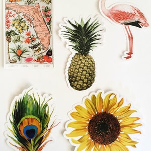 May include: Five colorful stickers featuring a pineapple, a sunflower, a peacock feather, a flamingo, and a vintage map of Florida. The map shows the state's outline and features various fruits and plants.