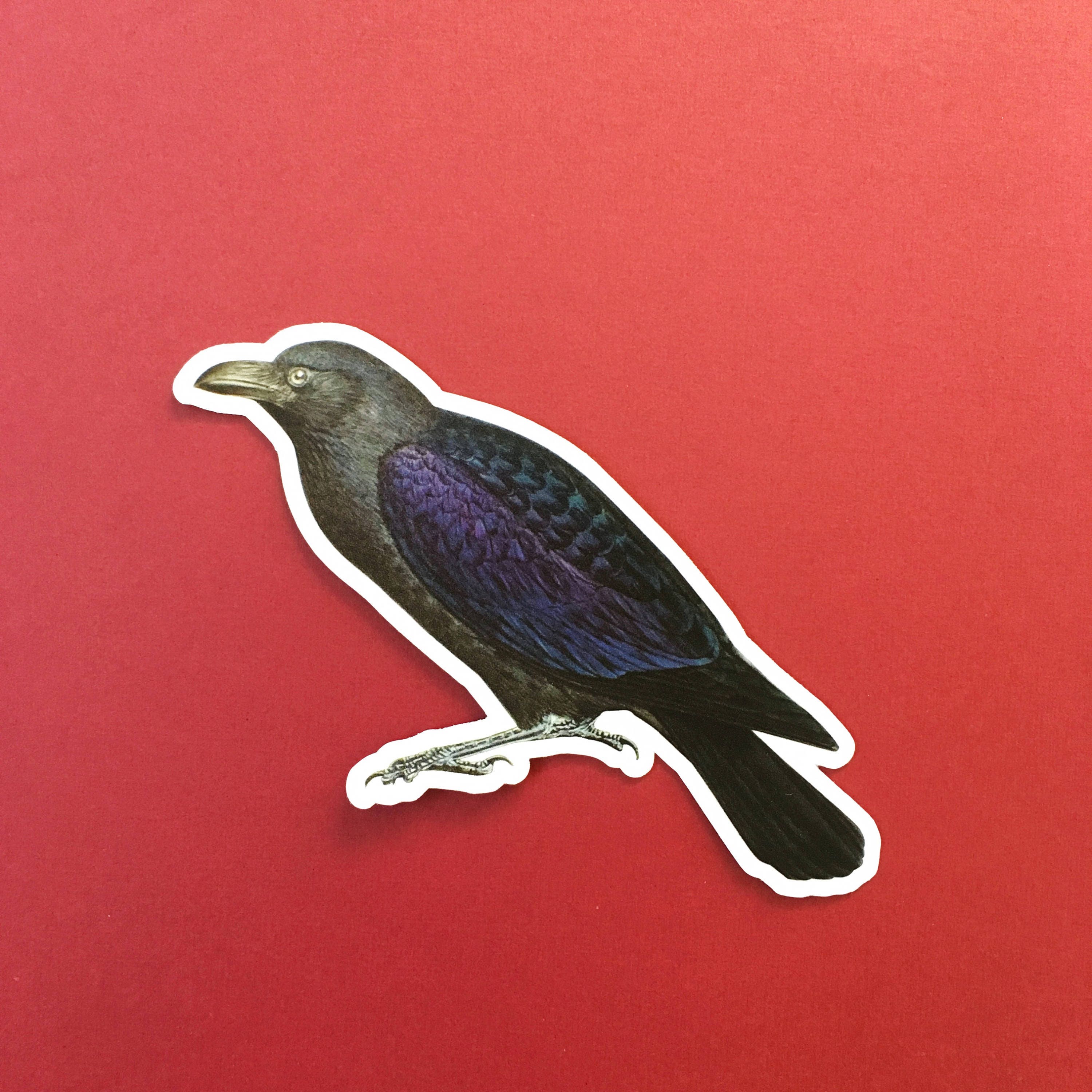 Black Crow Sticker, Naturalistic Vintage Raven Vinyl Stickers Laptop, Creepy Vinyl Decal, Halloween Dark Horror Goblincore Wholesale Decals - Thumbnail 2