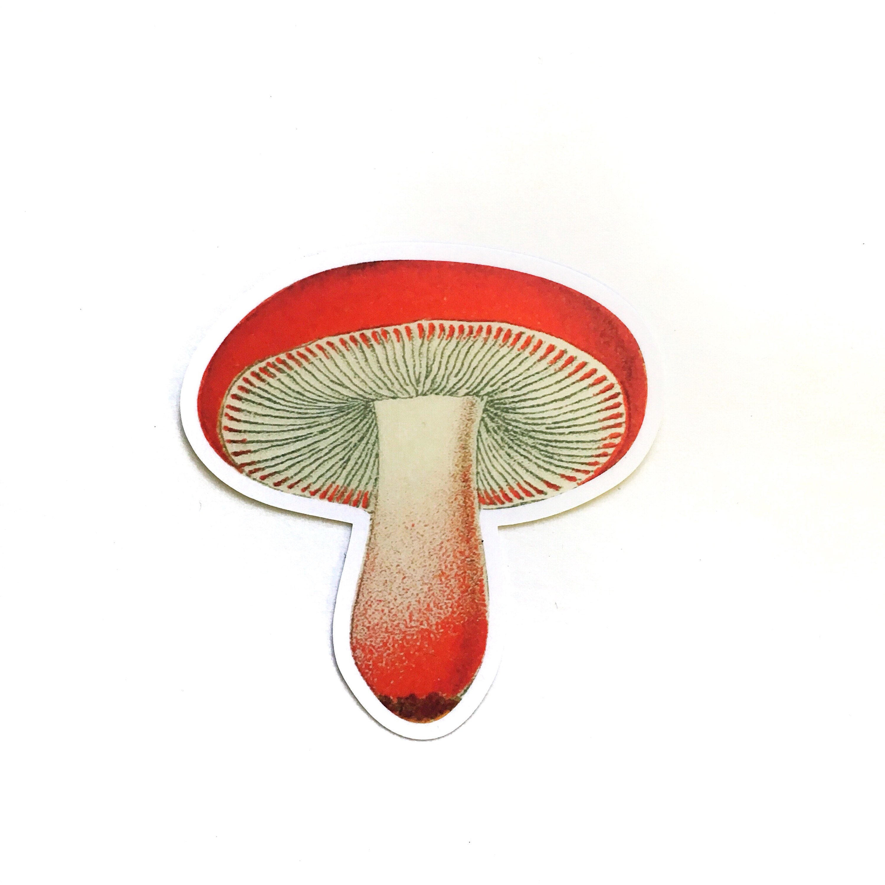 Red Mushroom Sticker Pack, Laptop Stickers, Bumper Decal Weird Decals, Alice in Wonderland, Vintage Botanical, Surreal Nature Junk Journal - Thumbnail 2