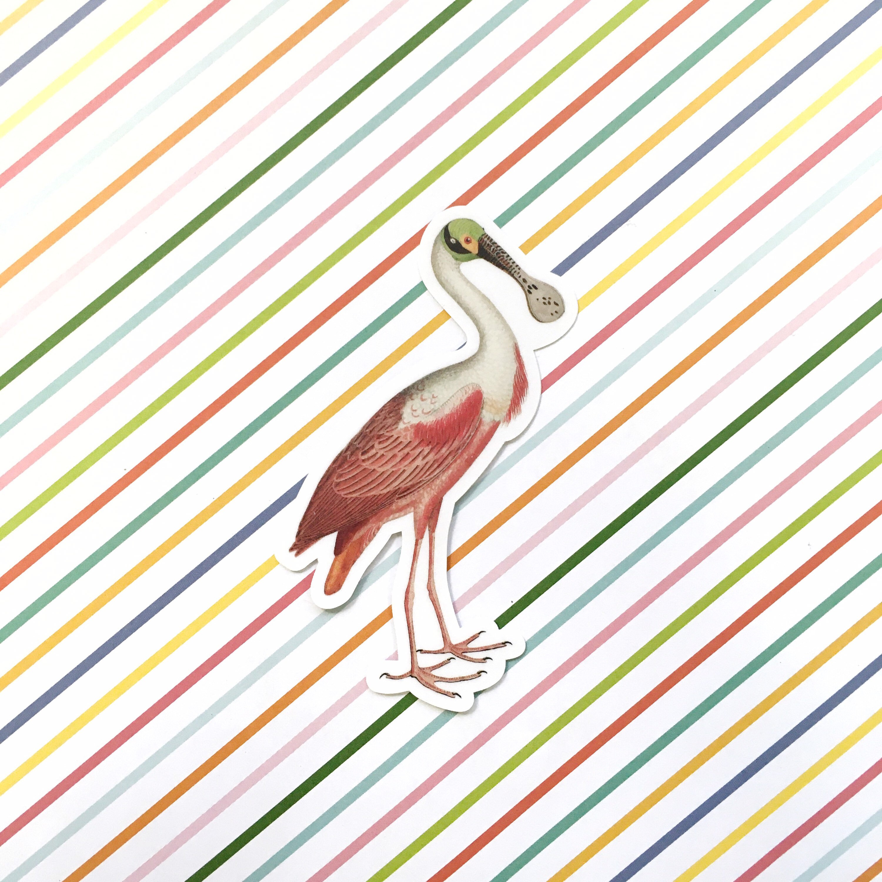 Florida Stickers, Vintage Spoonbill Vinyl Sticker Pack, Pink Tropical Bumper, Bird Laptop Decal, Outdoor Decal Phone Sticker for Hydro Flask - Thumbnail 3