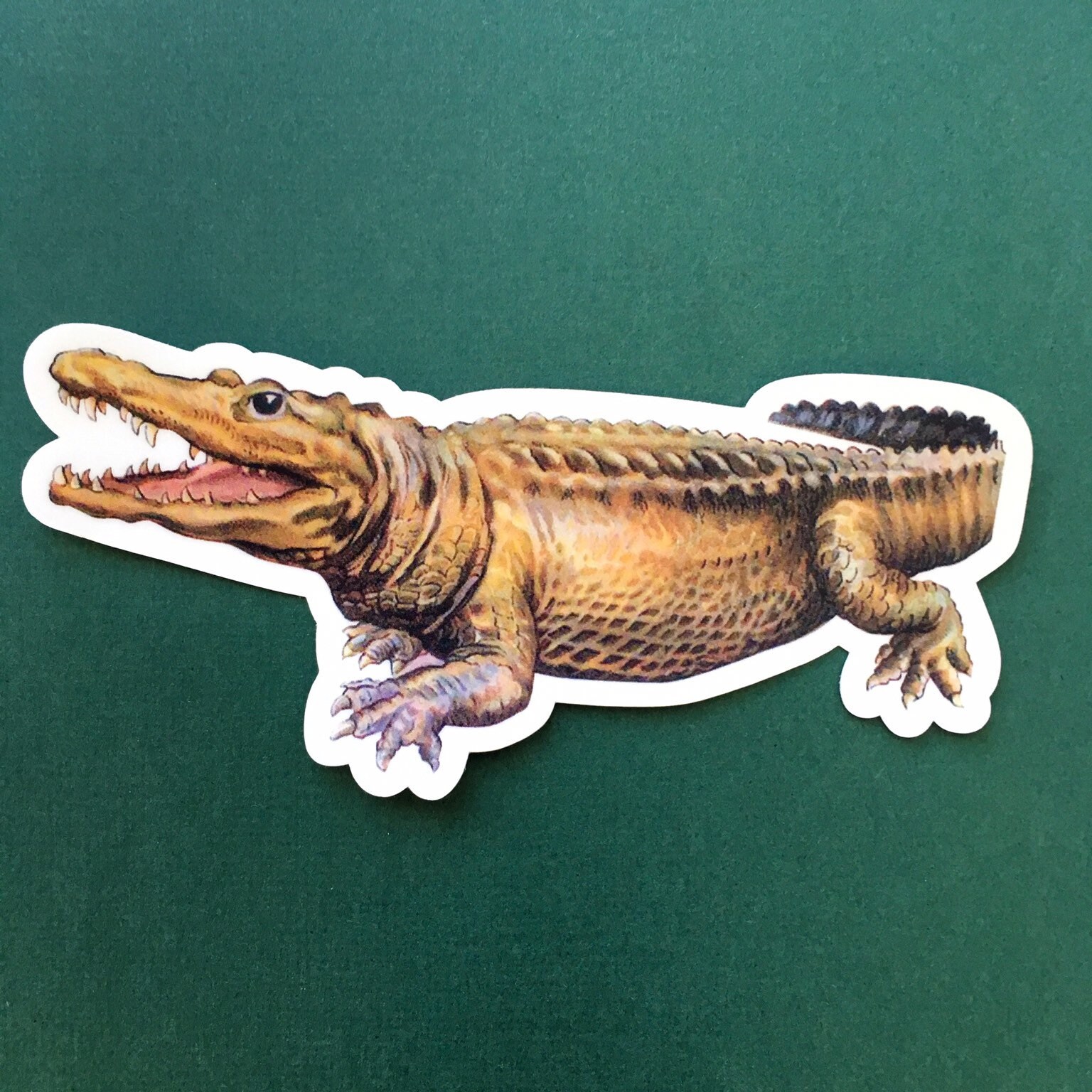 Alligator Sticker, Vintage Florida Vinyl Sticker Pack, Bumper Stickers, Laptop Decals, Hydroflask Decal, Waterbottle Junk FL 50s 60s 70s - Thumbnail 2