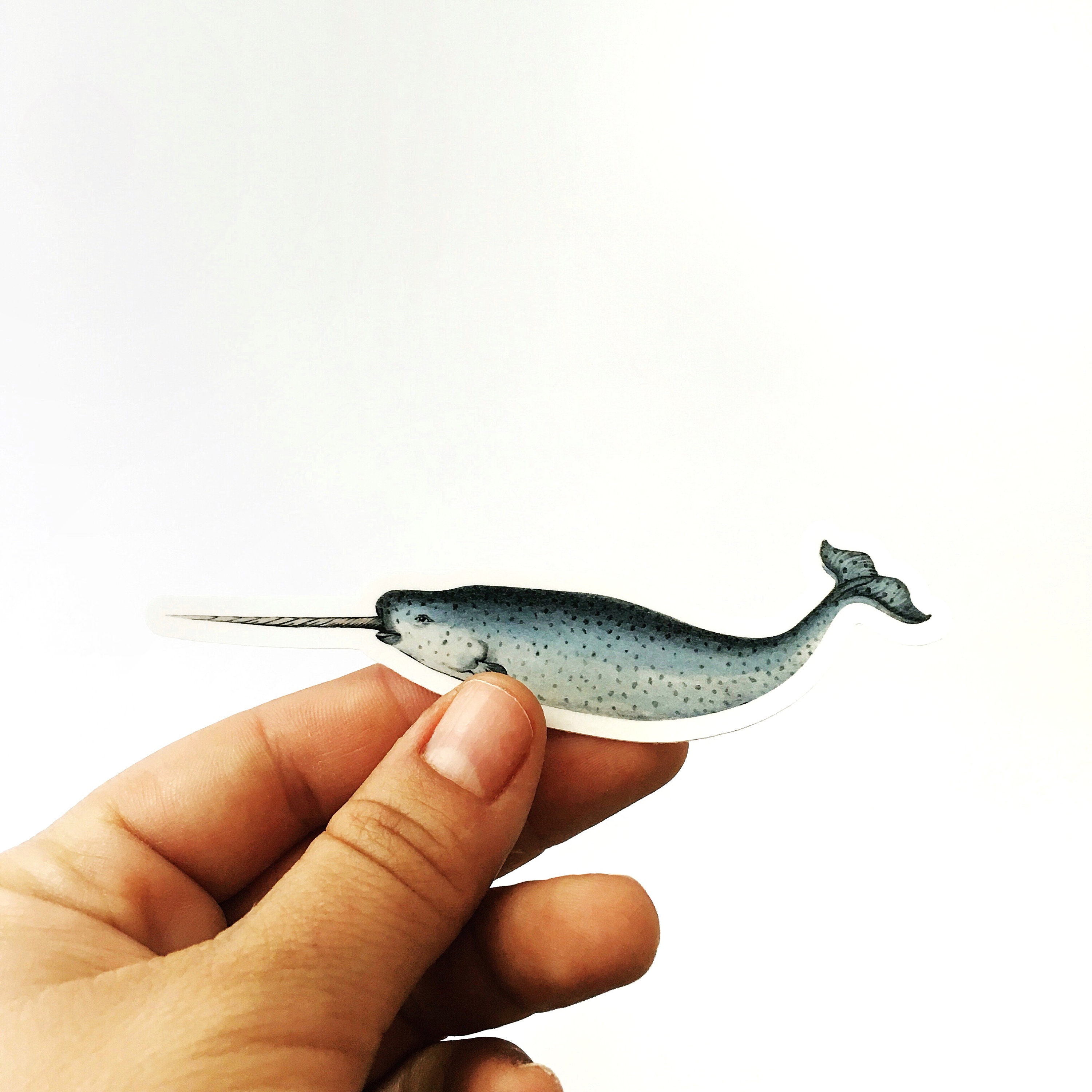 Narwhal Laptop Sticker Pack Narwhal Stickers Antique Animal - Etsy