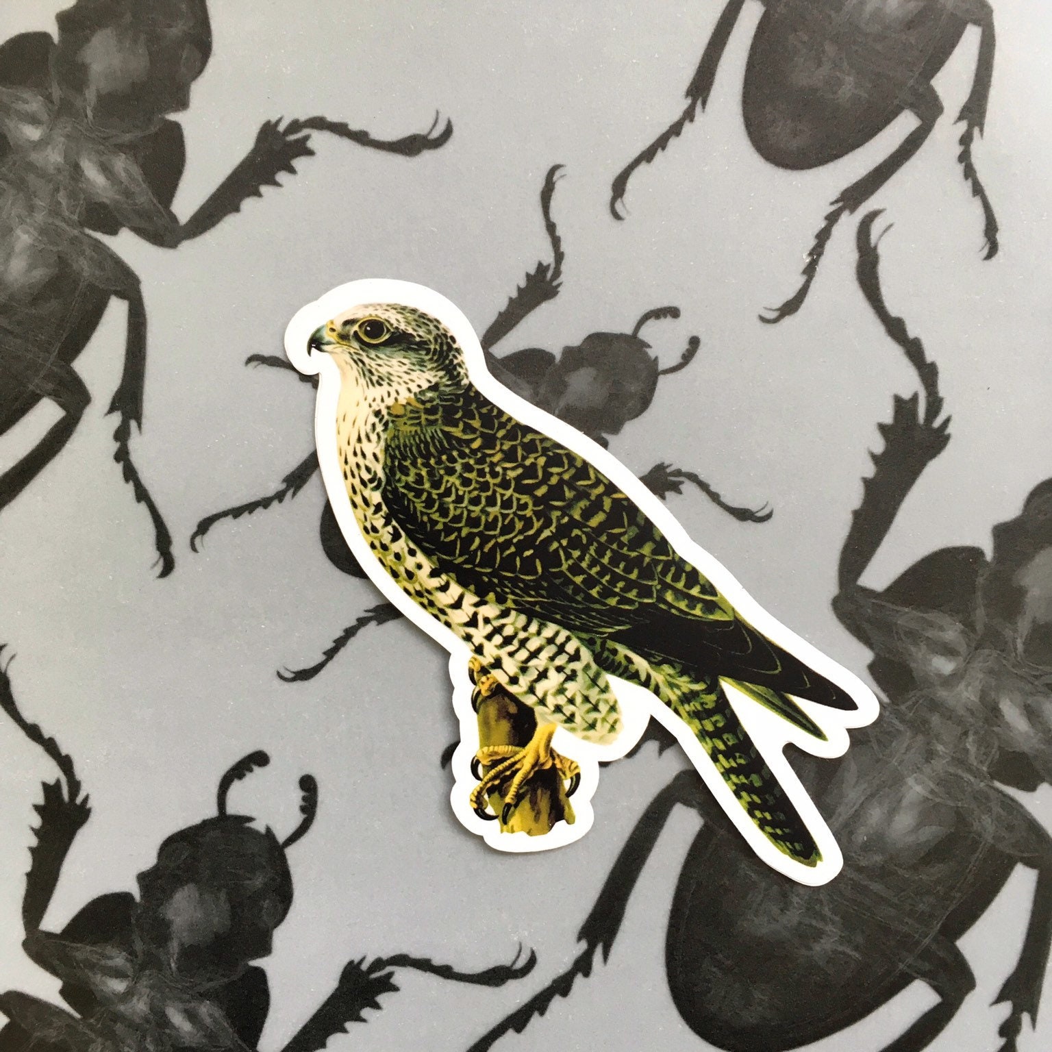 Falcon Stickers, Vinyl Hawk Sticker Pack, Bird Decal, Laptop Decals, Outdoor Waterbottle Bumper Yeti Bird of Prey, Birds Natural Nature - Thumbnail 2