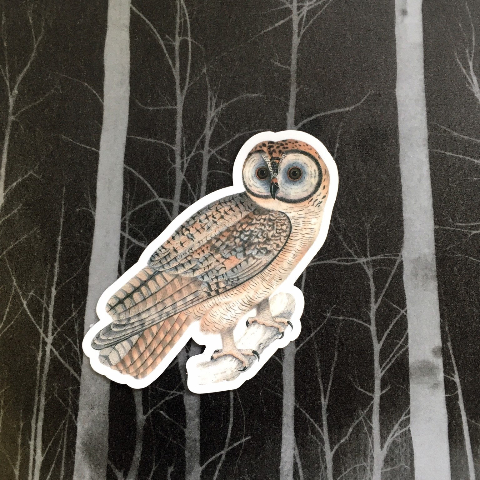 Owl Sticker Vinyl Sticker Pack, Bird Sticker, Laptop Sticker, Outdoor Stickers, Waterbottle Sticker Bomb 50s 60s 70s Antique Owl - Thumbnail 2