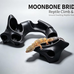May include: A black, curved, hollow reptile bridge with multiple openings and textured surfaces, labeled MOONBONE BRIDGE Reptile Climb & Hide Ground Dwelling Reptile Hide & Climb, with a yellow and black spotted leopard gecko resting on top.