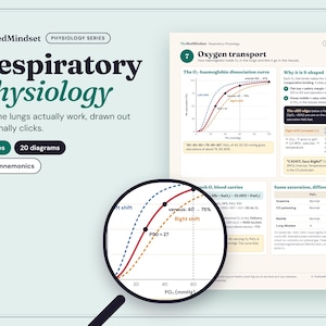 Könnte beinhalten: Ein Bildungsdokument mit dem Titel TheMedMindset Respiratory Physiology, das 9 Seiten und 20 Diagramme umfasst. Es enthält eine detaillierte Sauerstoff-Dissoziationskurve mit Texten zum Sauerstofftransport und klinischen Datentabellen.