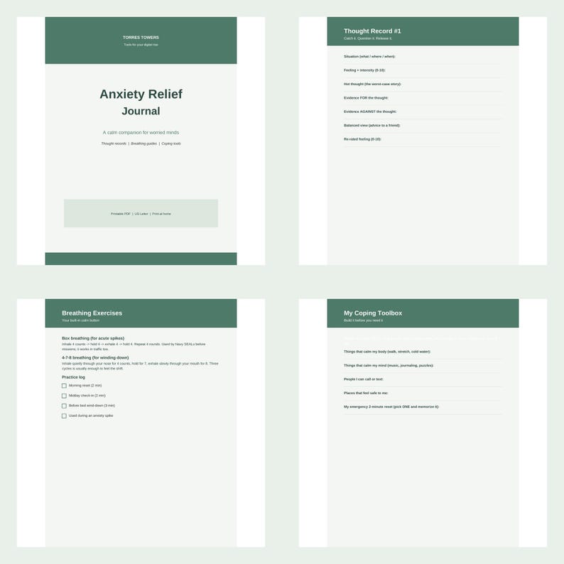Printbaar dagboek voor angstverlichting, werkbladen voor het registreren van gedachten volgens cognitieve gedragstherapie, zorgen-tracker, ademhalingsoefeningen en aardingsinstrumenten, PDF afbeelding 4
