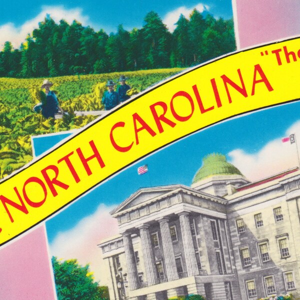 NORTH CAROLINA - GREETINGS from "The Tar Heel State", Vintage Postcard, Unused, c. 1960s, Asheville Post Card Co.